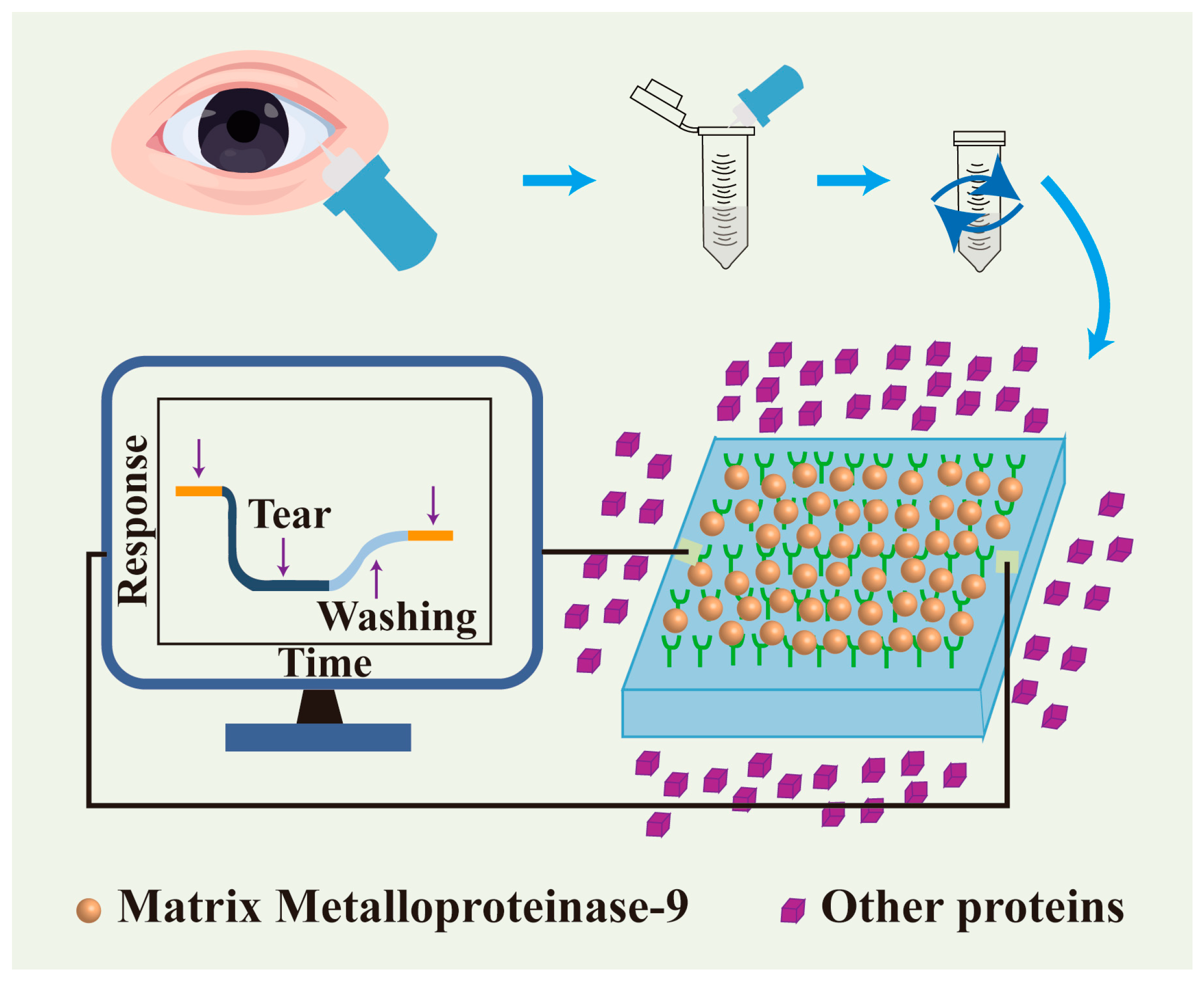 Nutrients 17 02443 g003