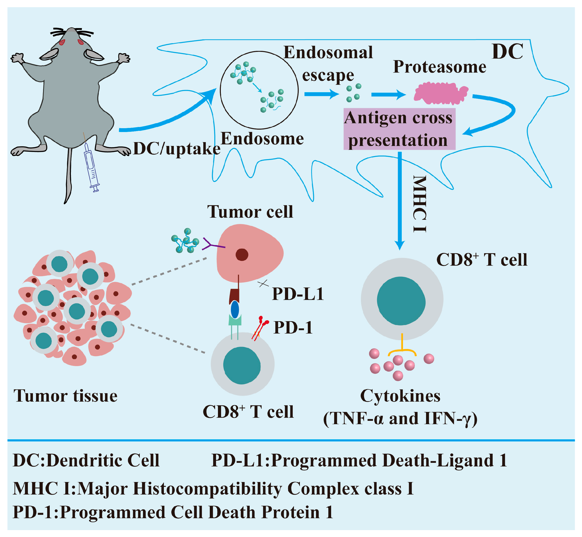 Nutrients 17 02443 g006