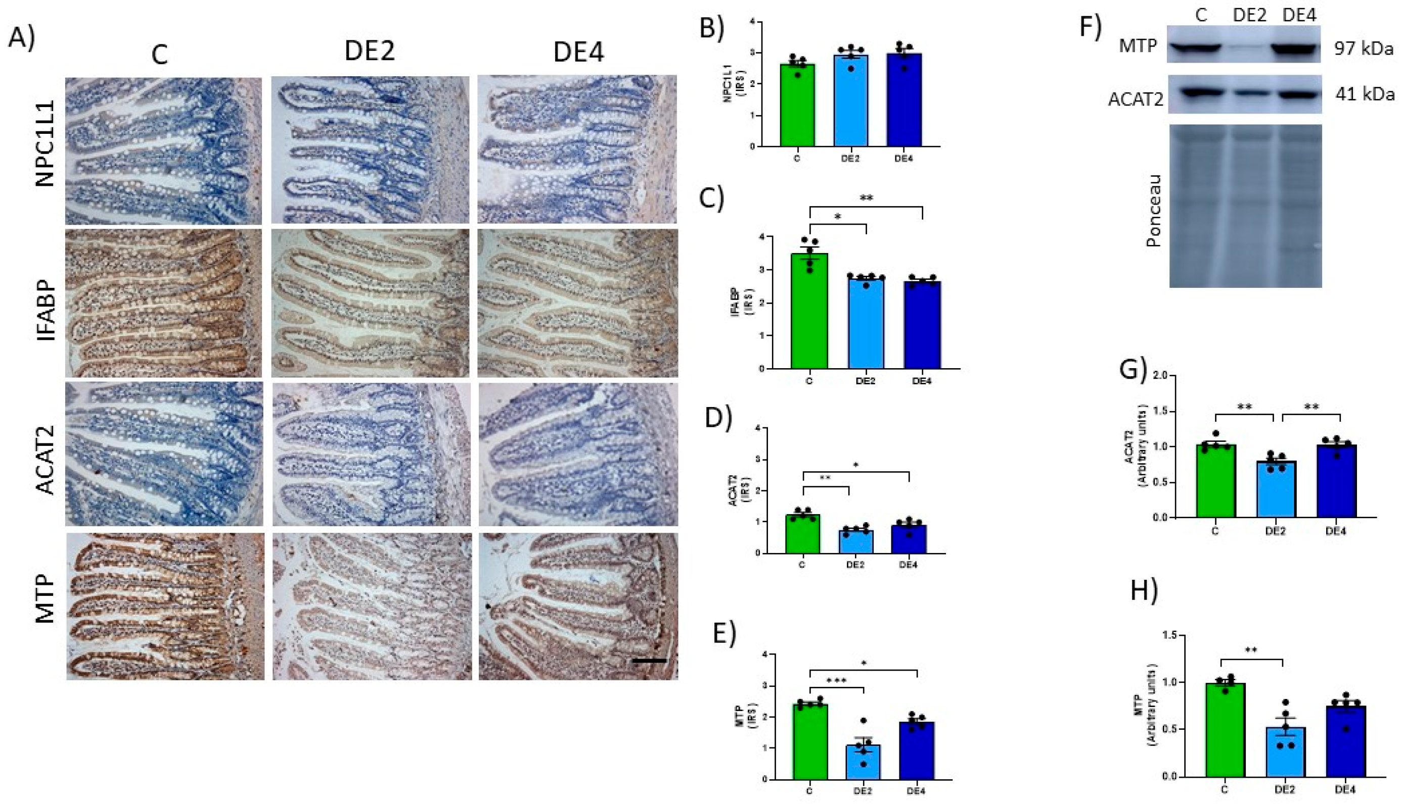 Nutrients 17 02452 g005