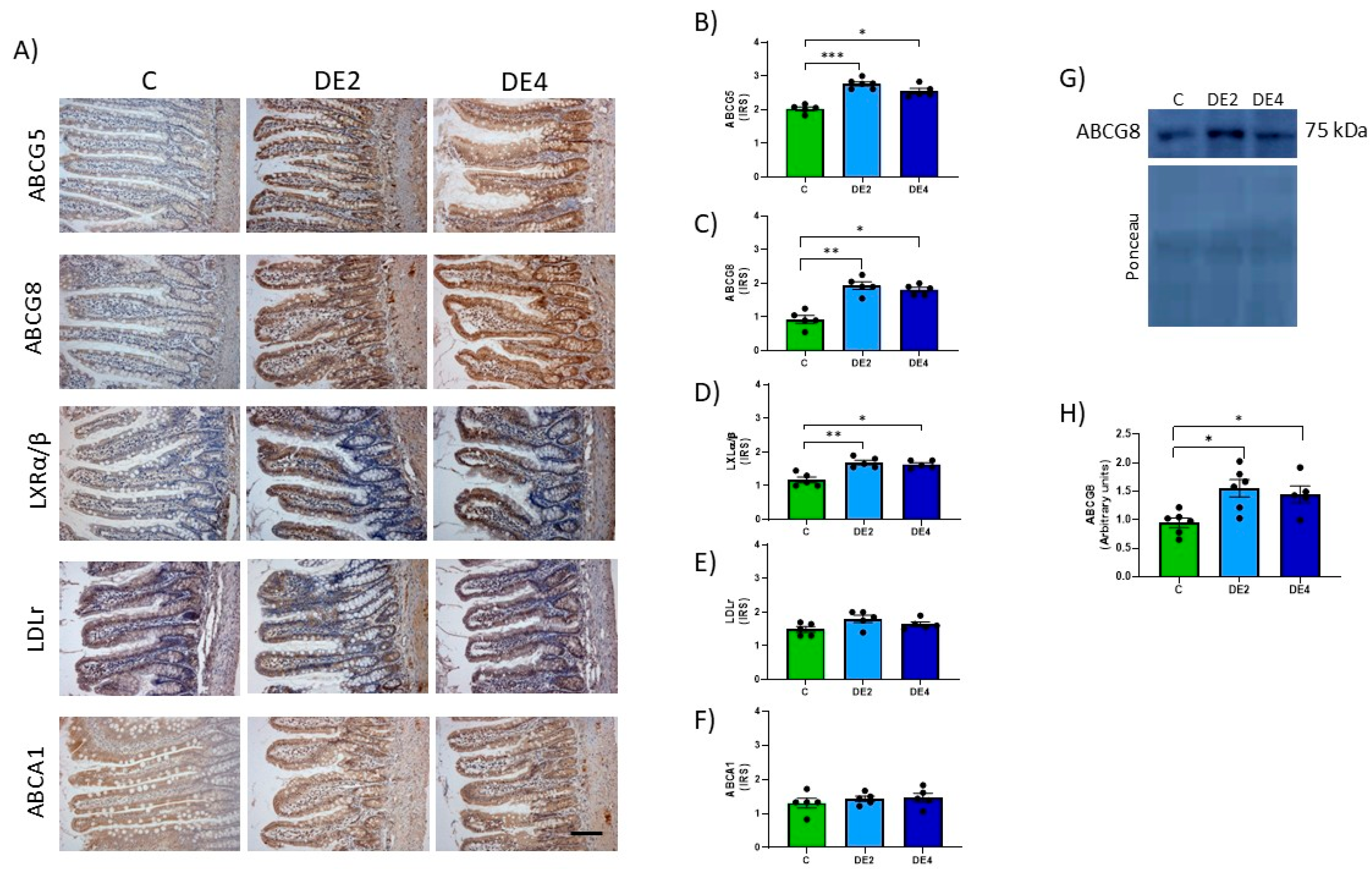 Nutrients 17 02452 g006