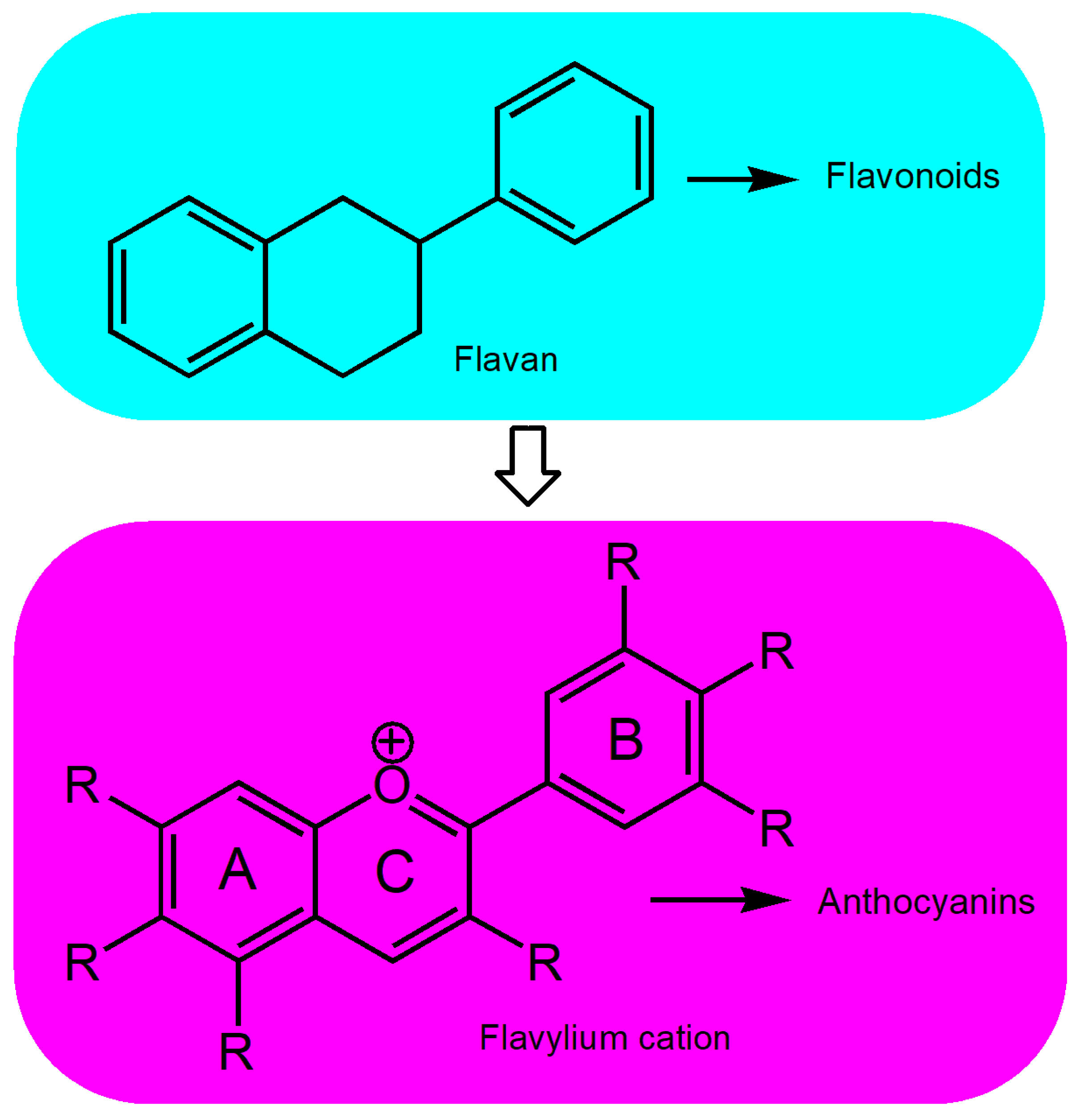 Nutrients 17 02453 g001