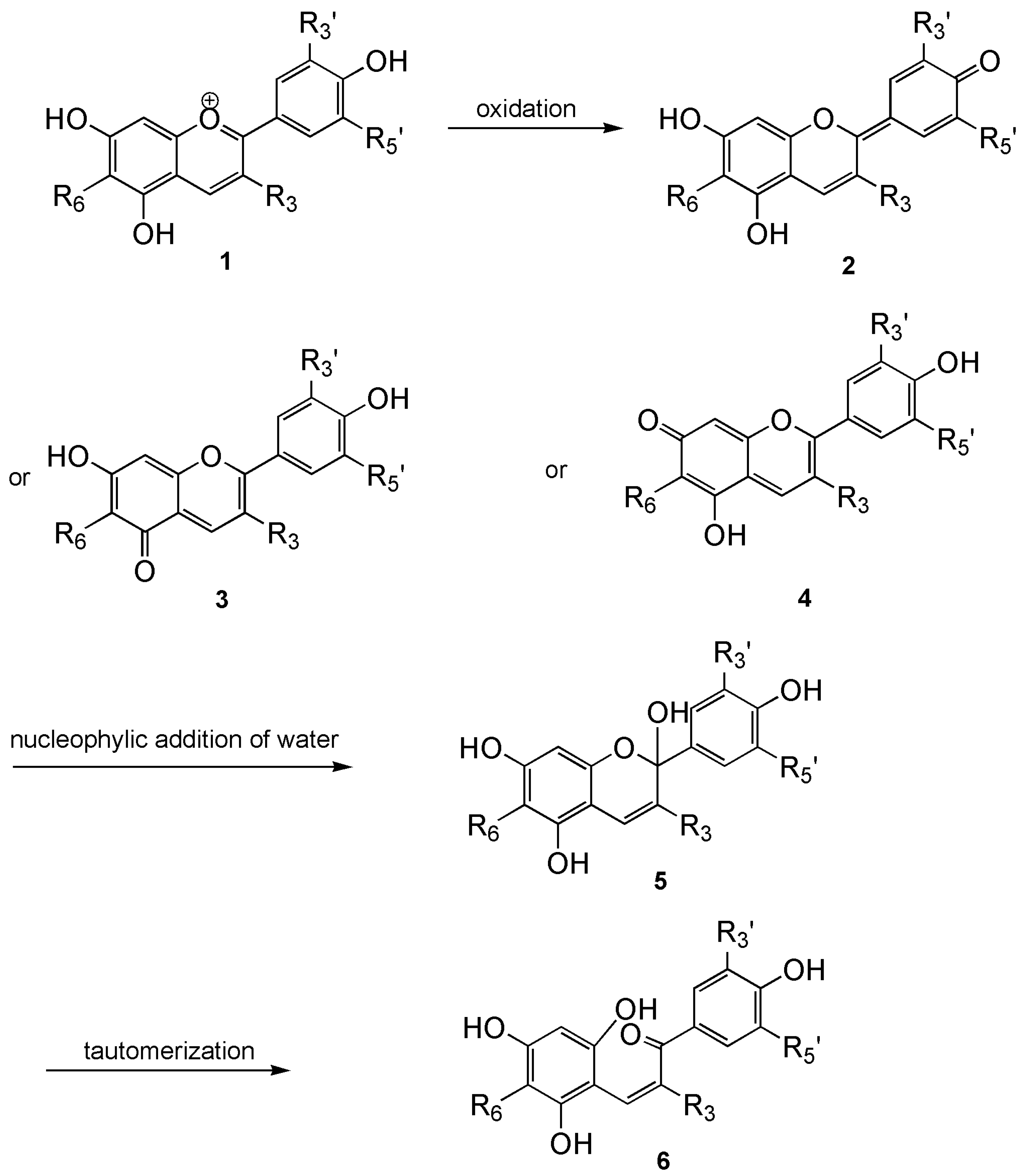 Nutrients 17 02453 g003