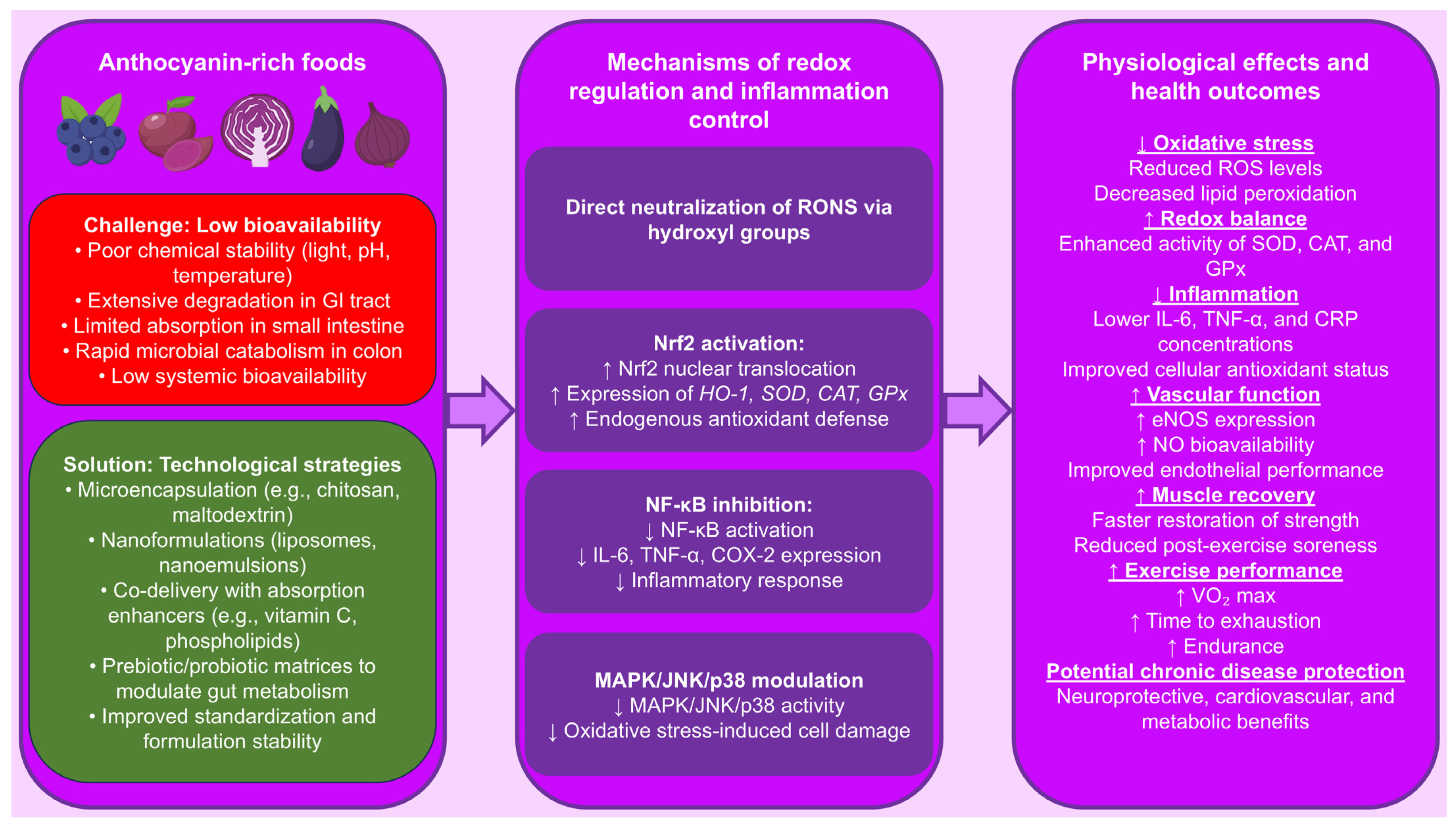 Nutrients 17 02453 g004