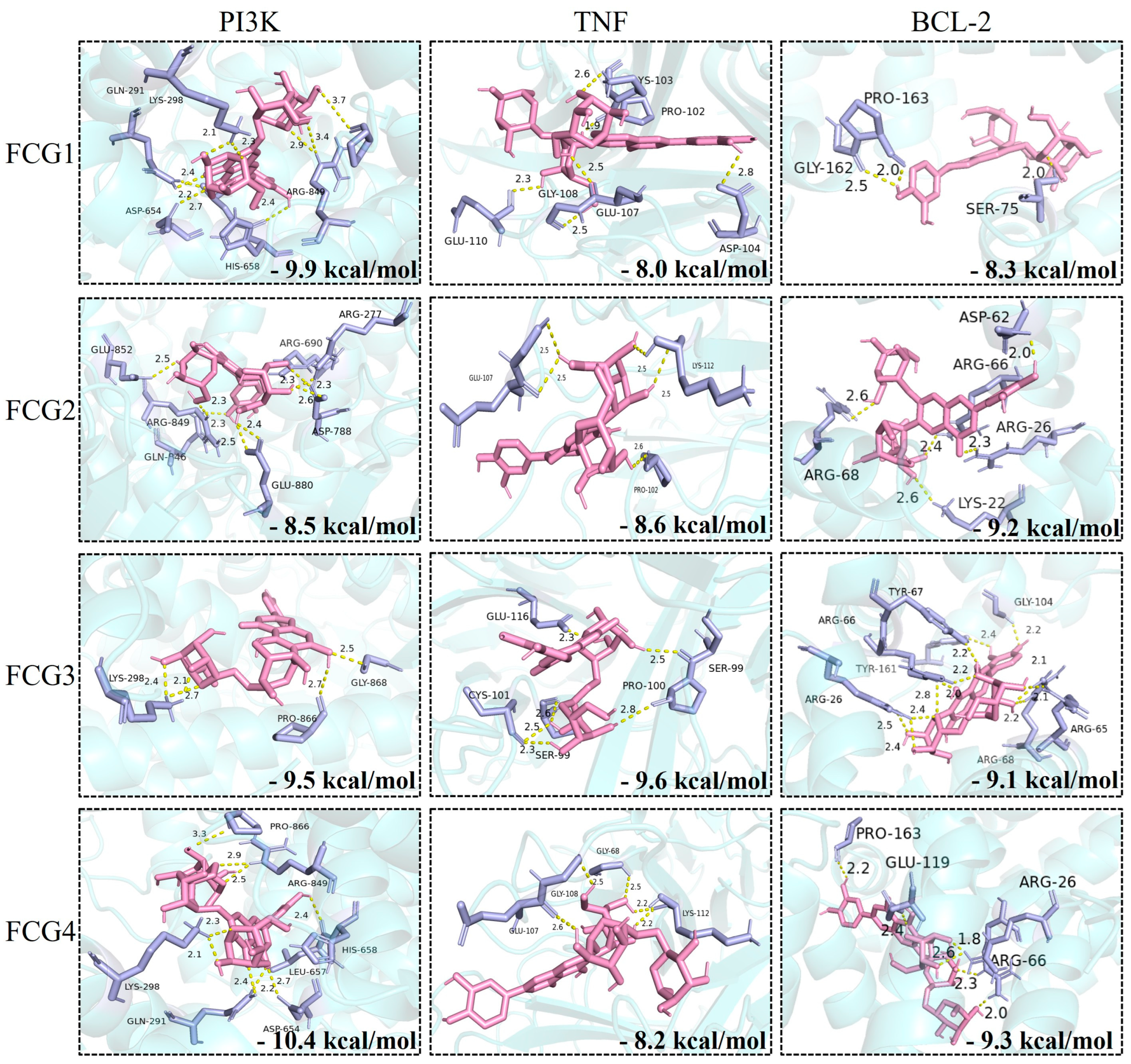 Nutrients 17 02456 g003