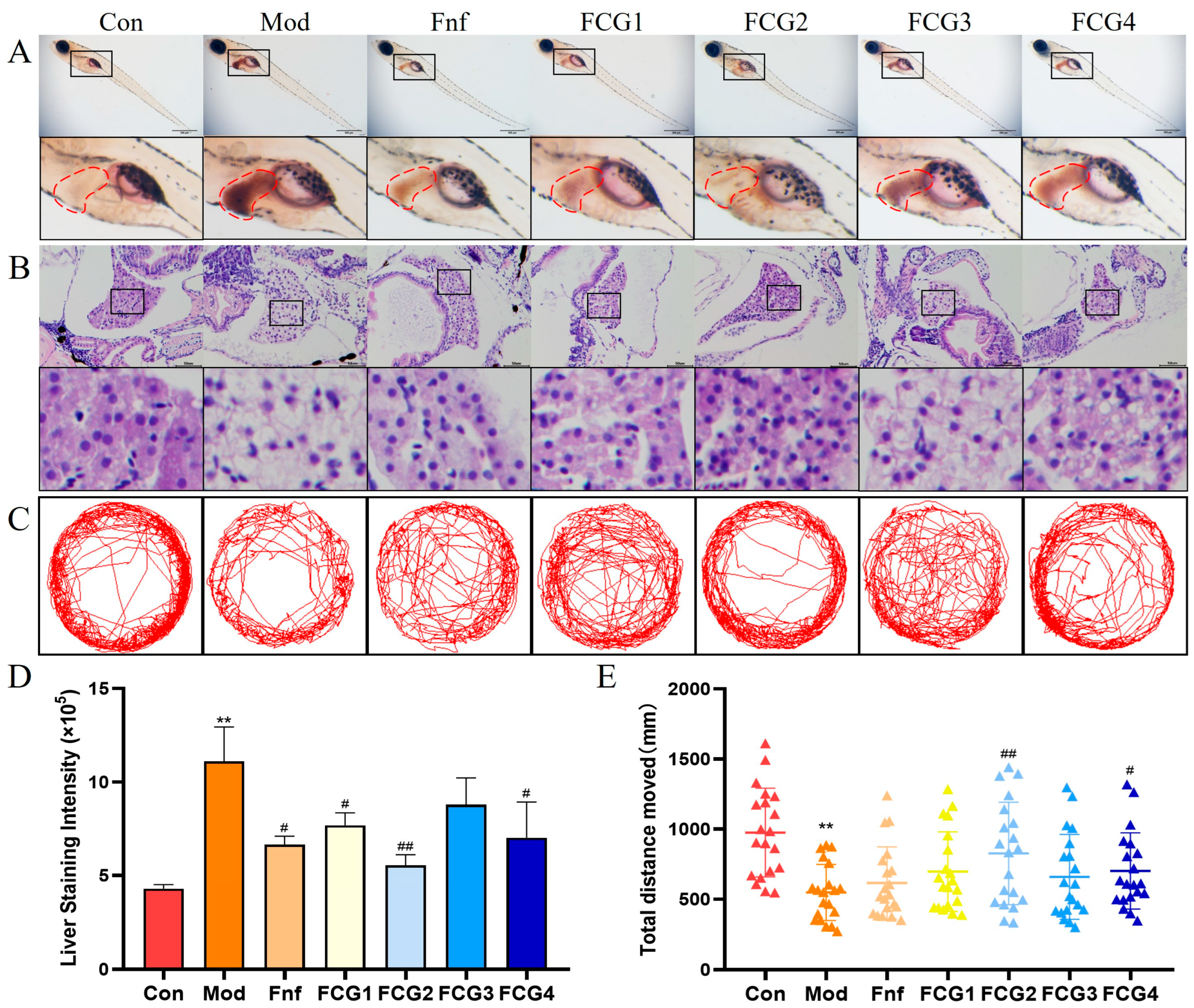 Nutrients 17 02456 g005