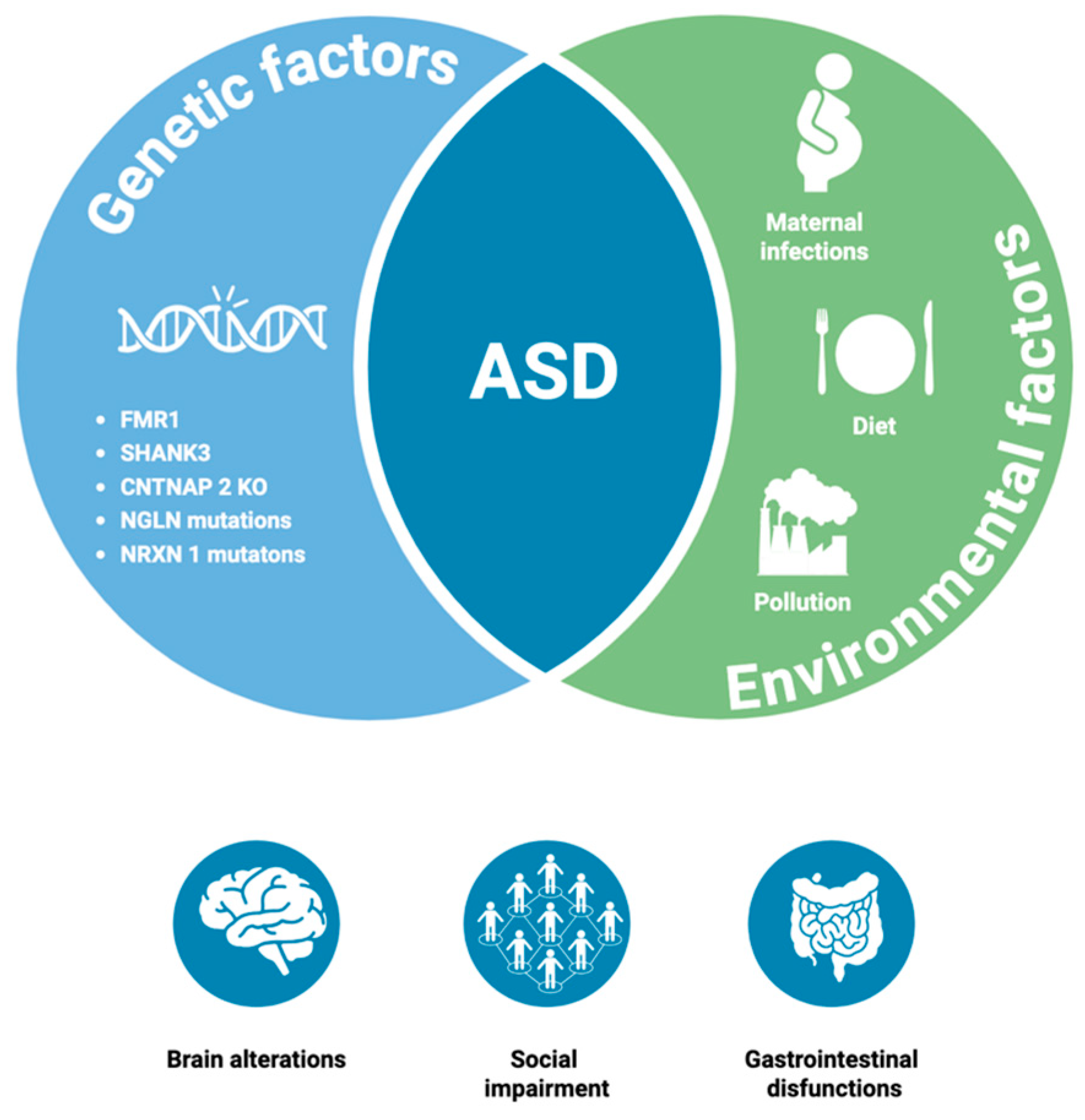 Nutrients 17 02470 g001