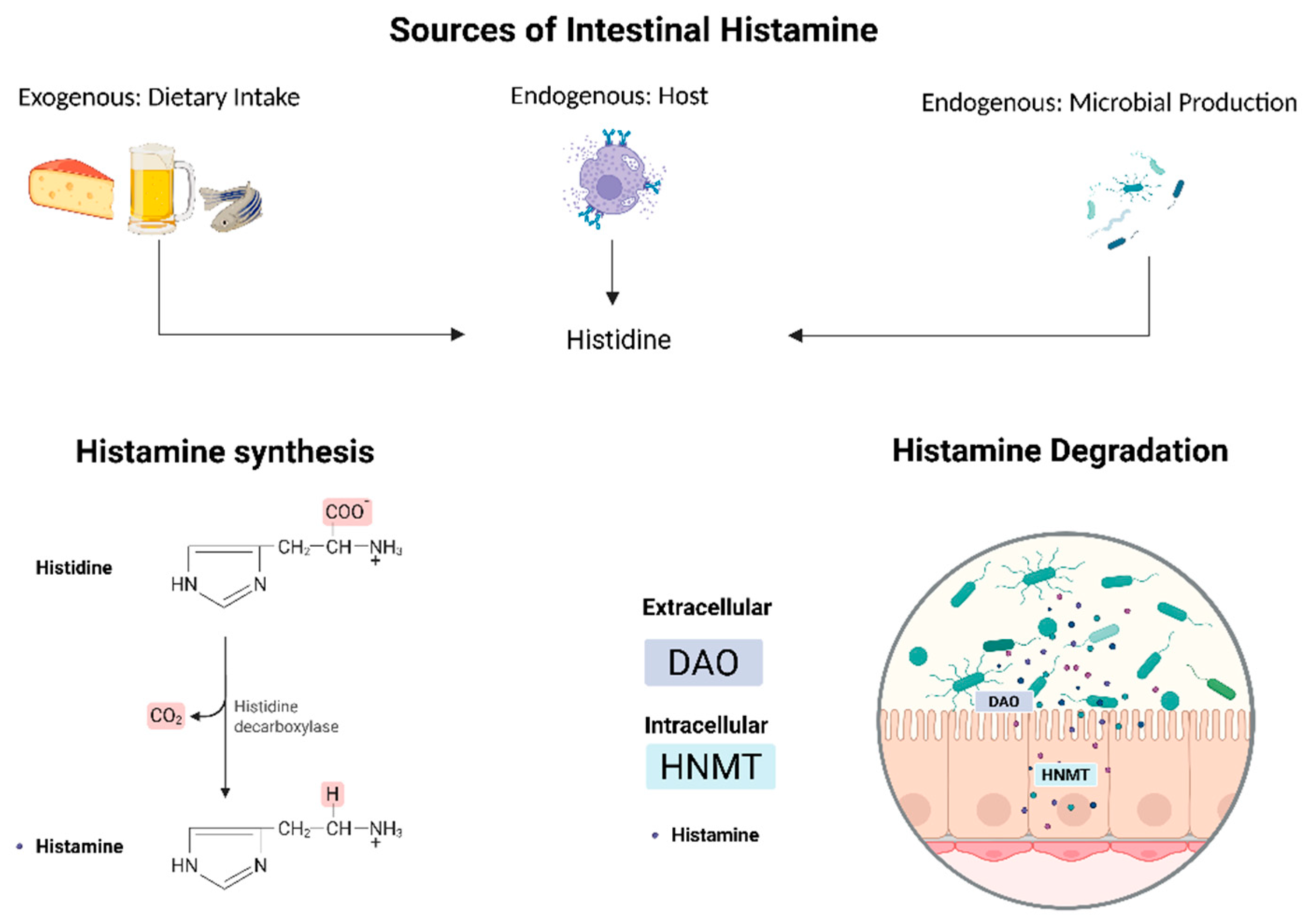 Nutrients 17 02473 g001