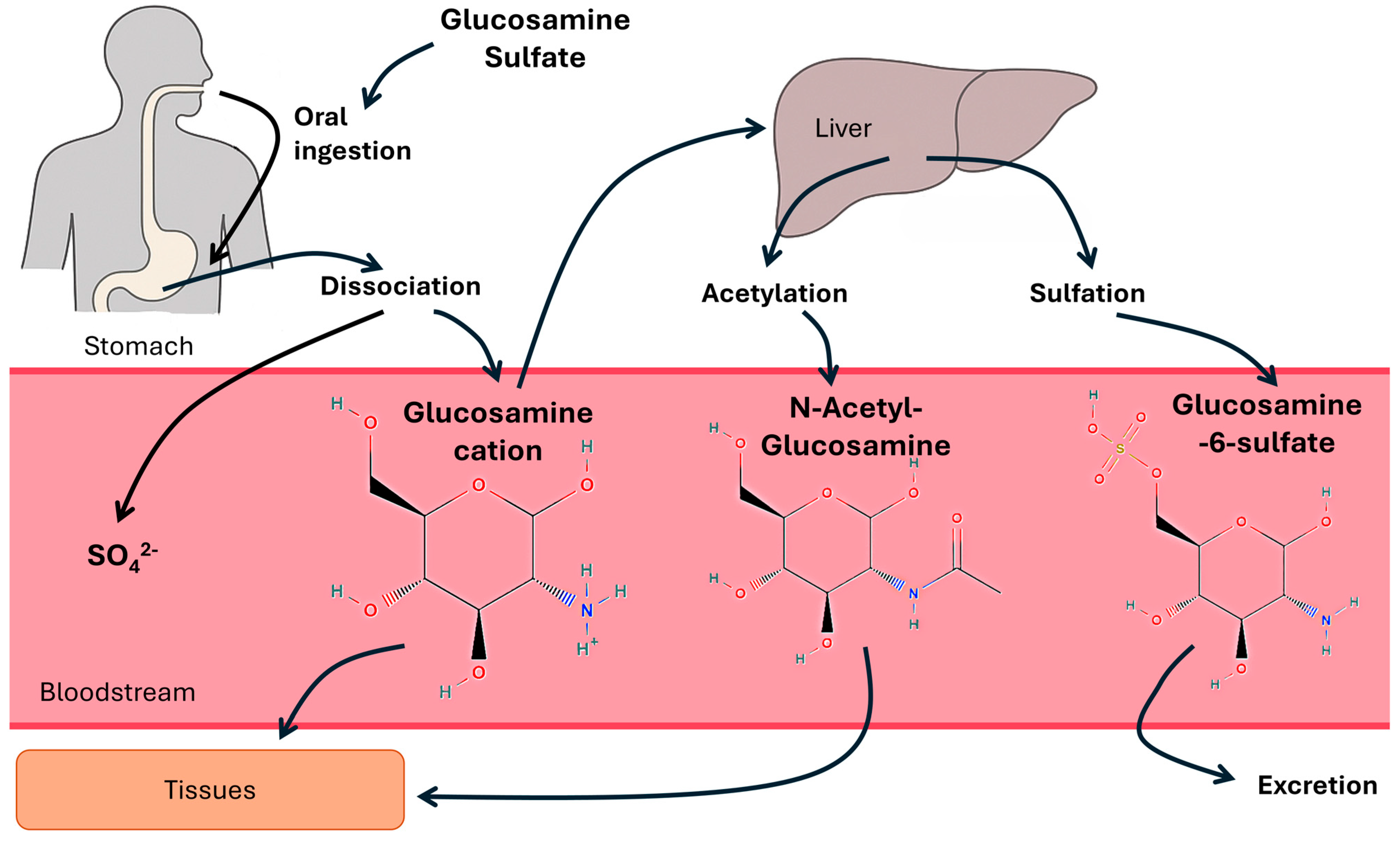 Nutrients 17 02491 g001