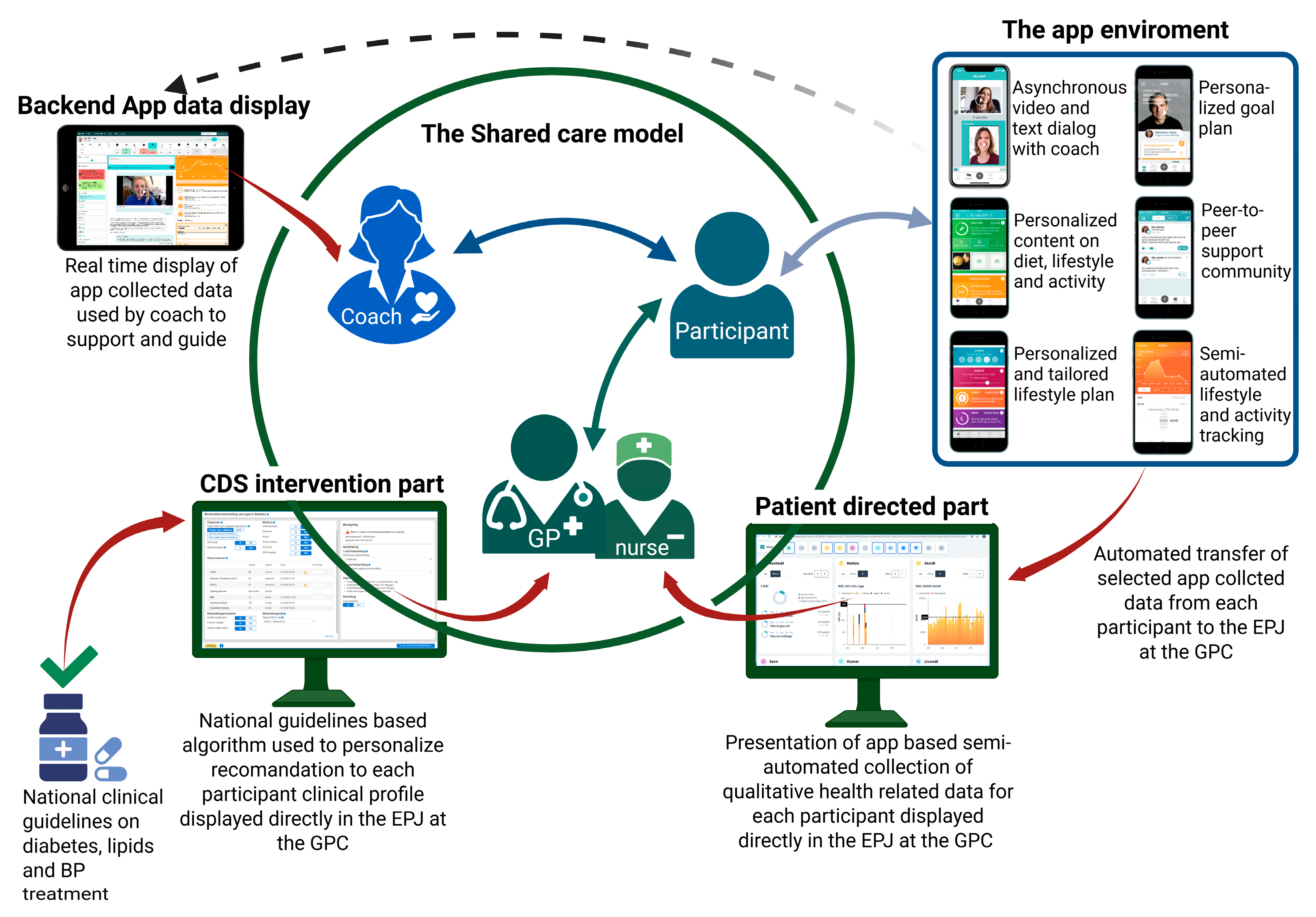 Nutrients 17 02494 g003