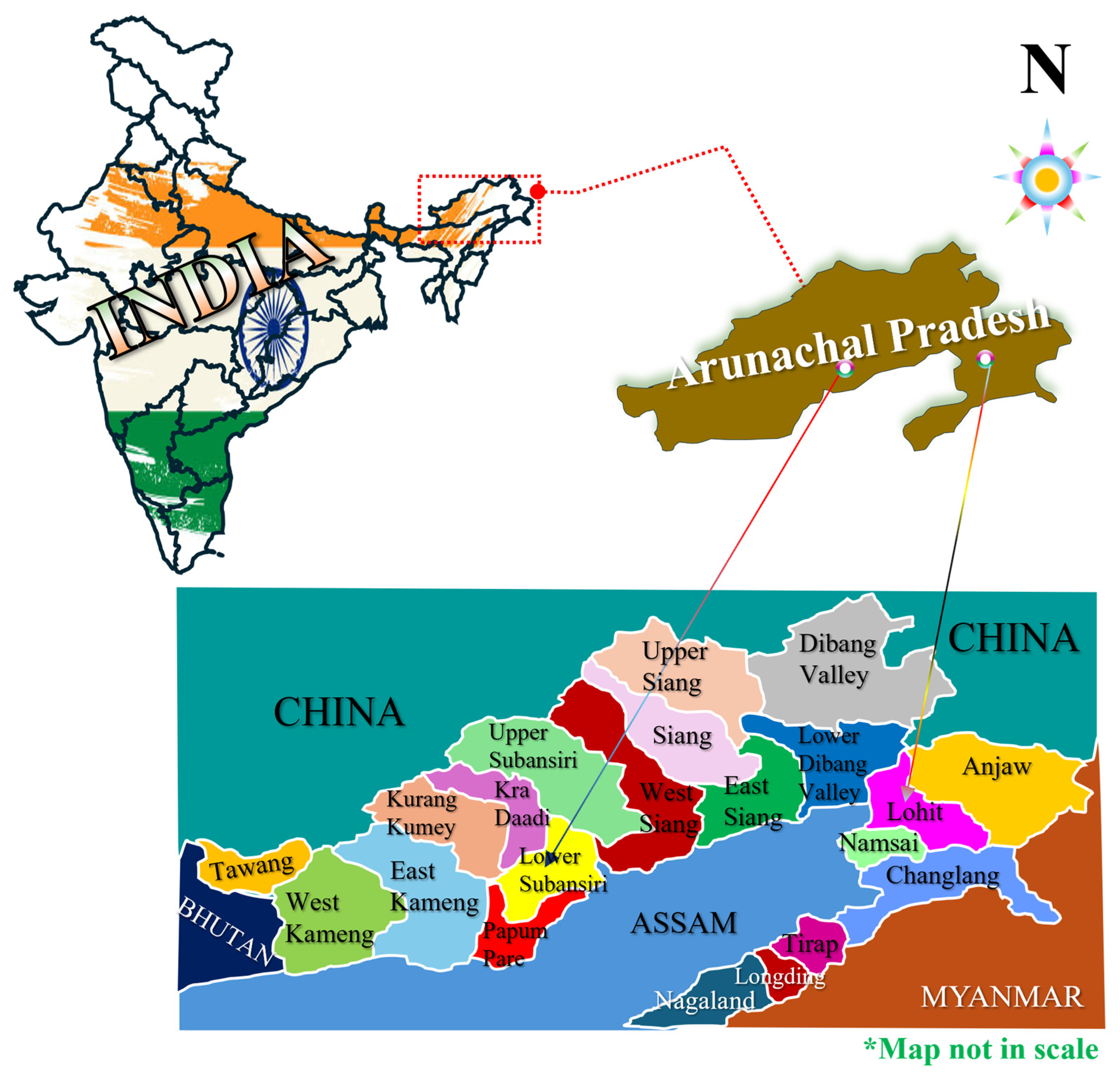 Nutrients 17 02499 g001