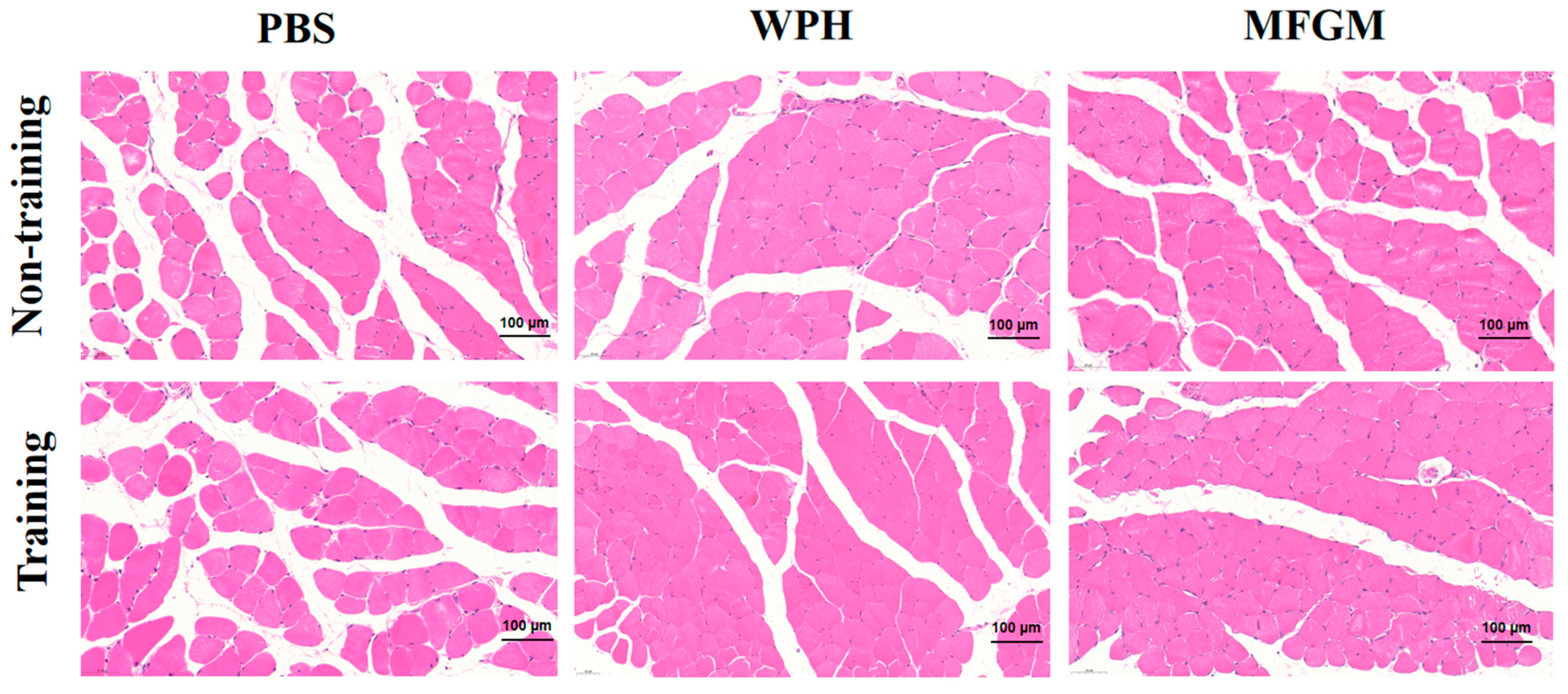 Nutrients 17 02500 g003