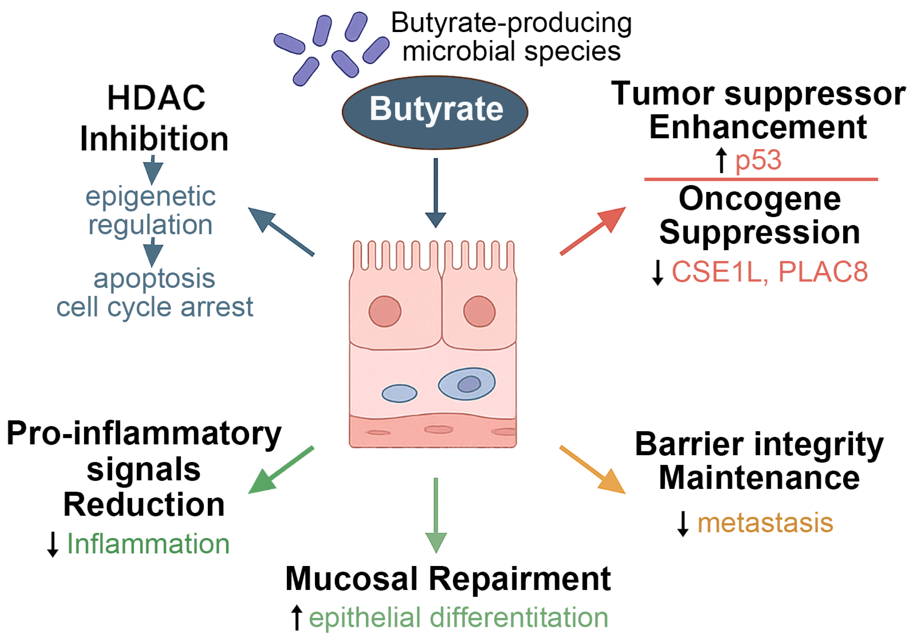 Nutrients 17 02501 g001