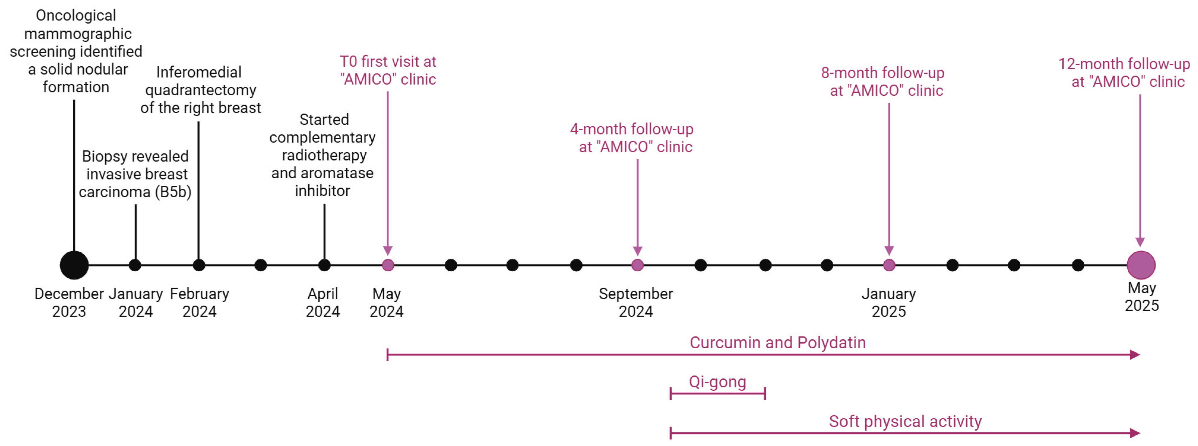 Nutrients 17 02506 g001