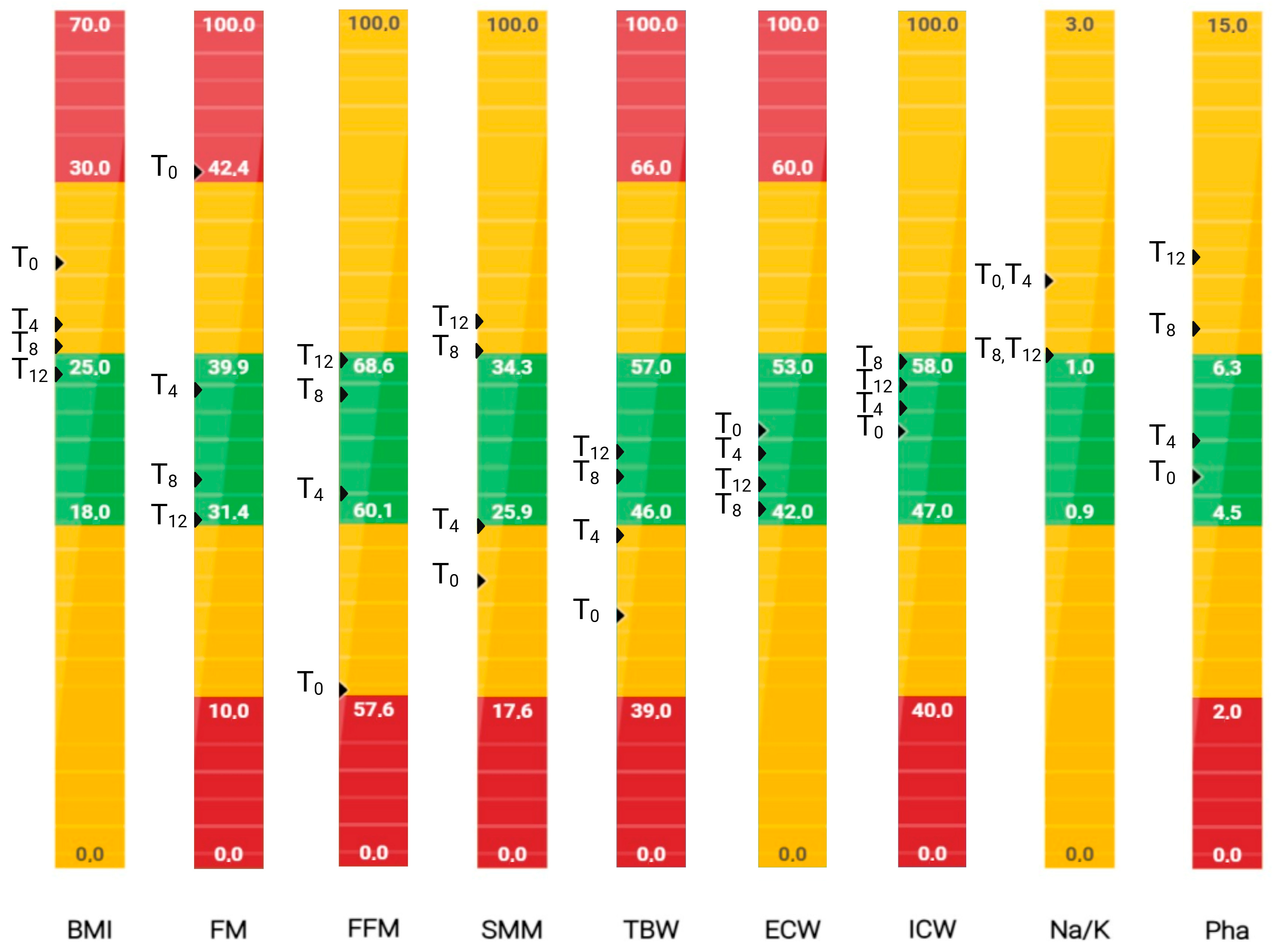 Nutrients 17 02506 g002