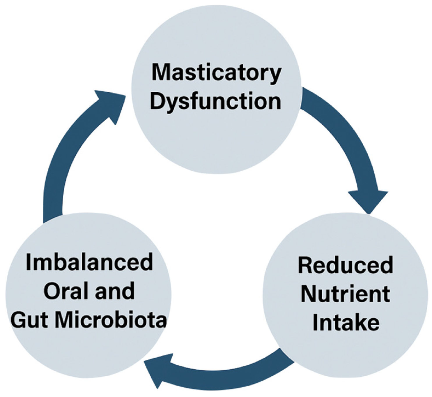 Nutrients 17 02507 g002