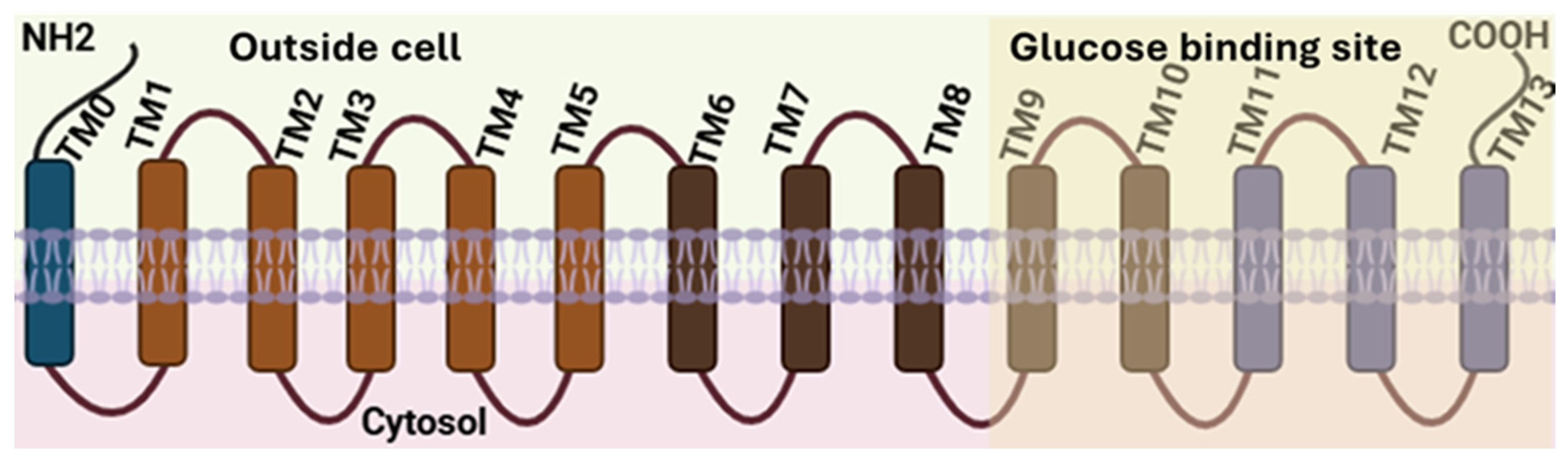 Nutrients 17 02511 g001