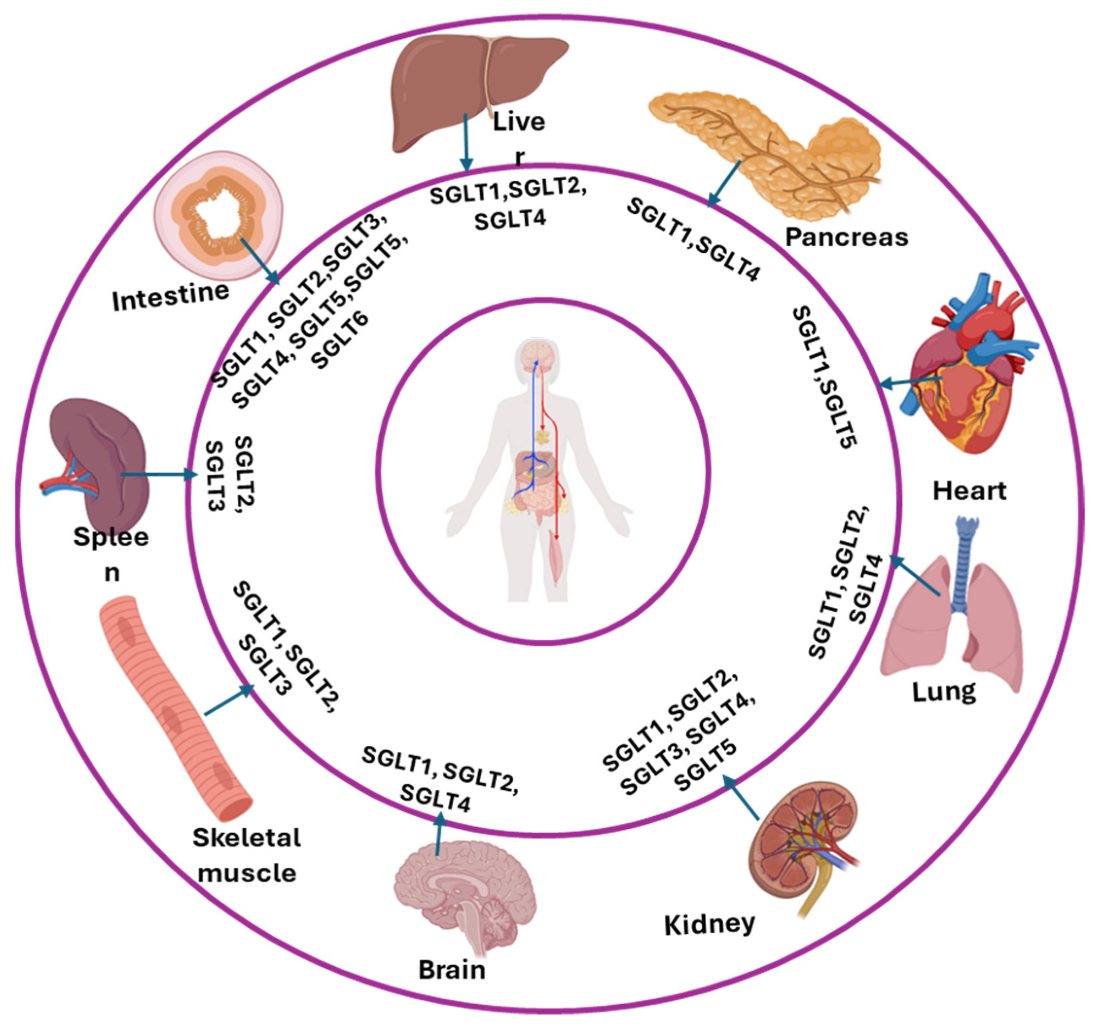 Nutrients 17 02511 g003
