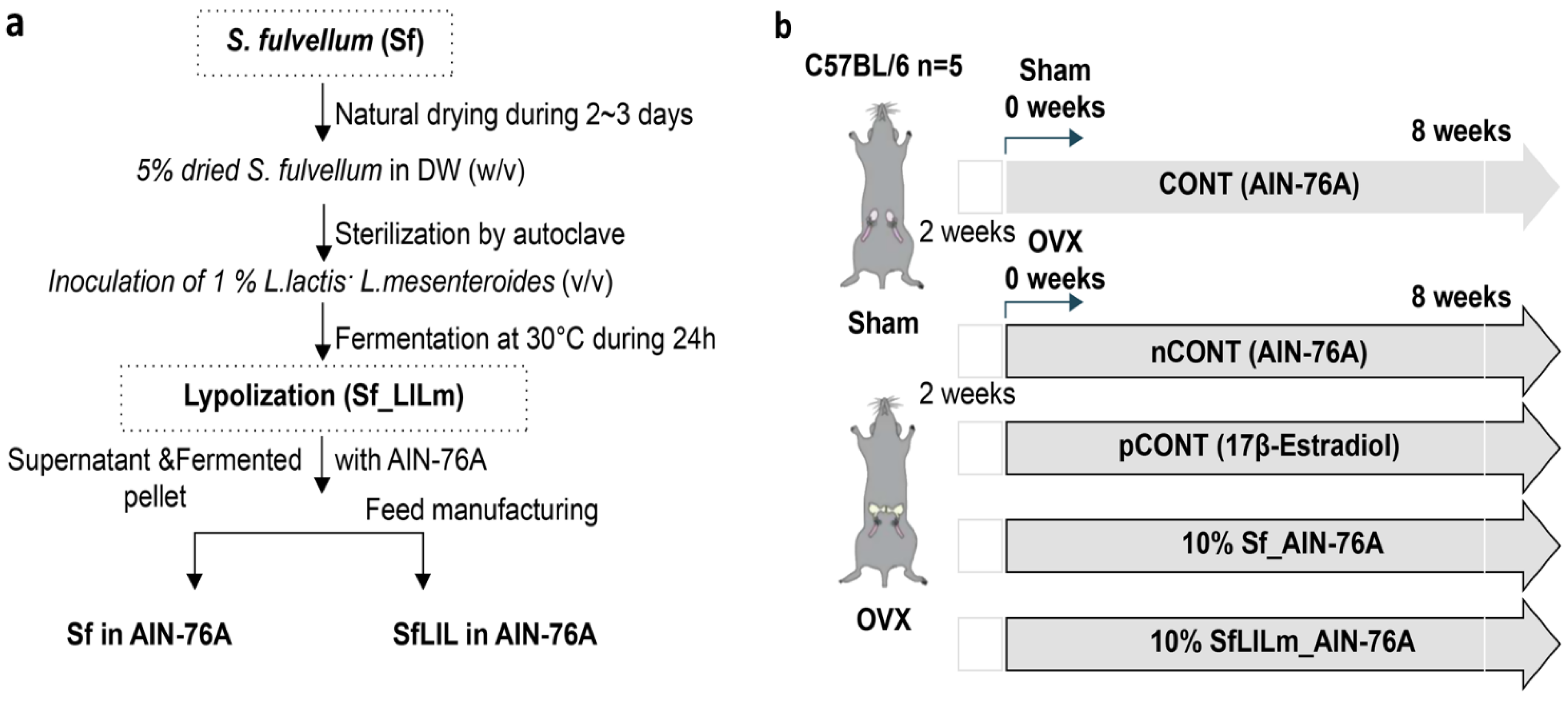 Nutrients 17 02527 g001