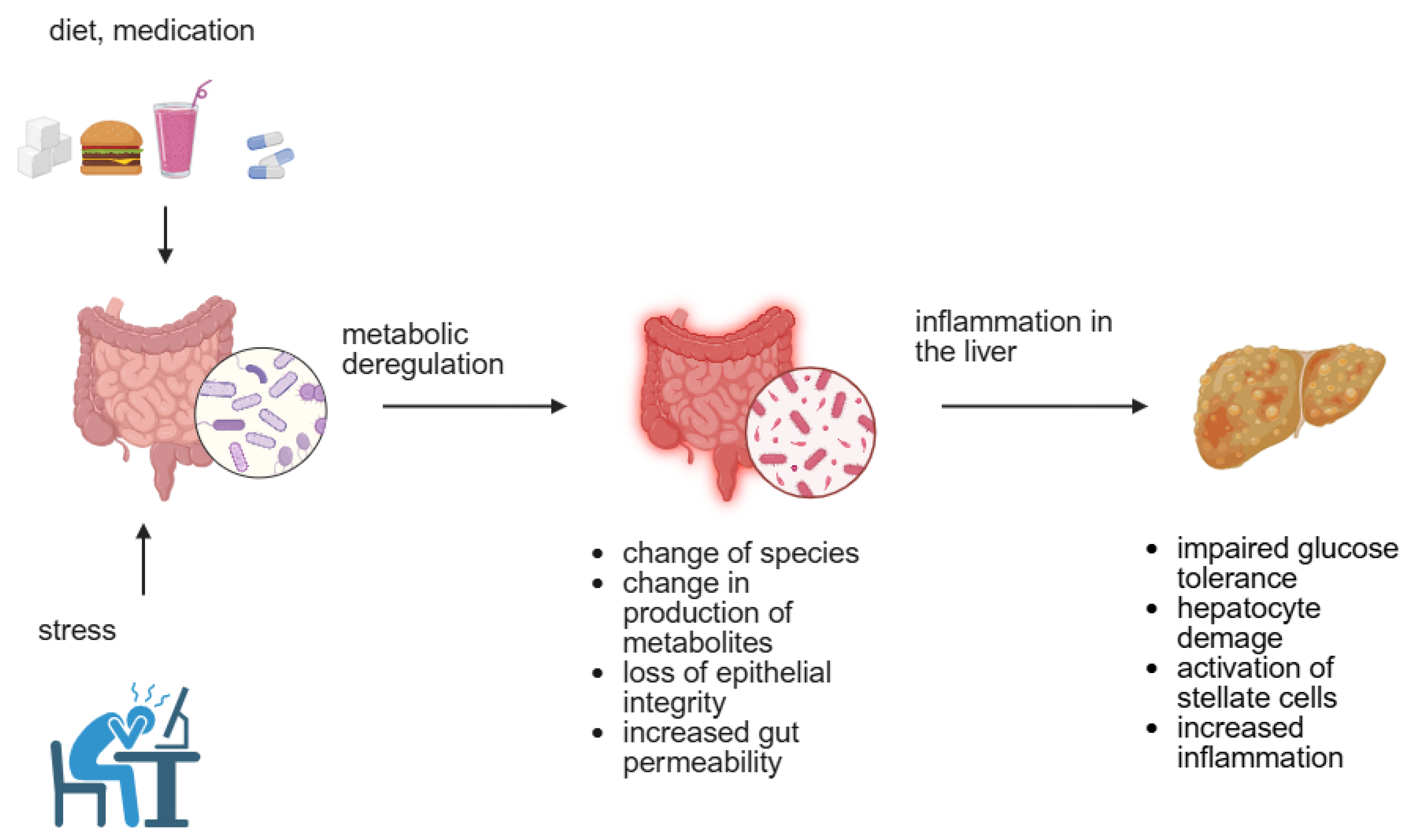Nutrients 17 02532 g002