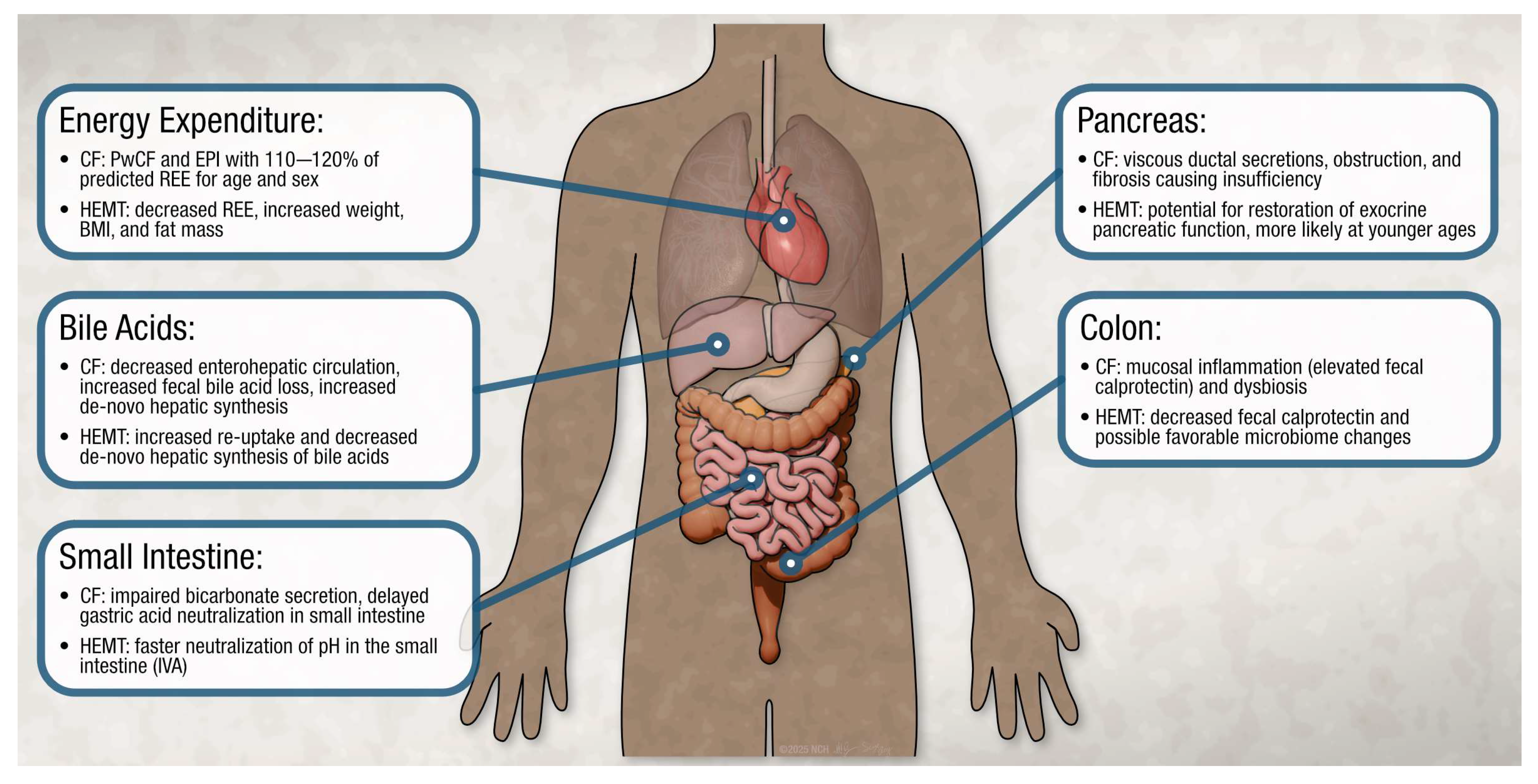Nutrients 17 02533 g001 Nutrients 17 02533 g001