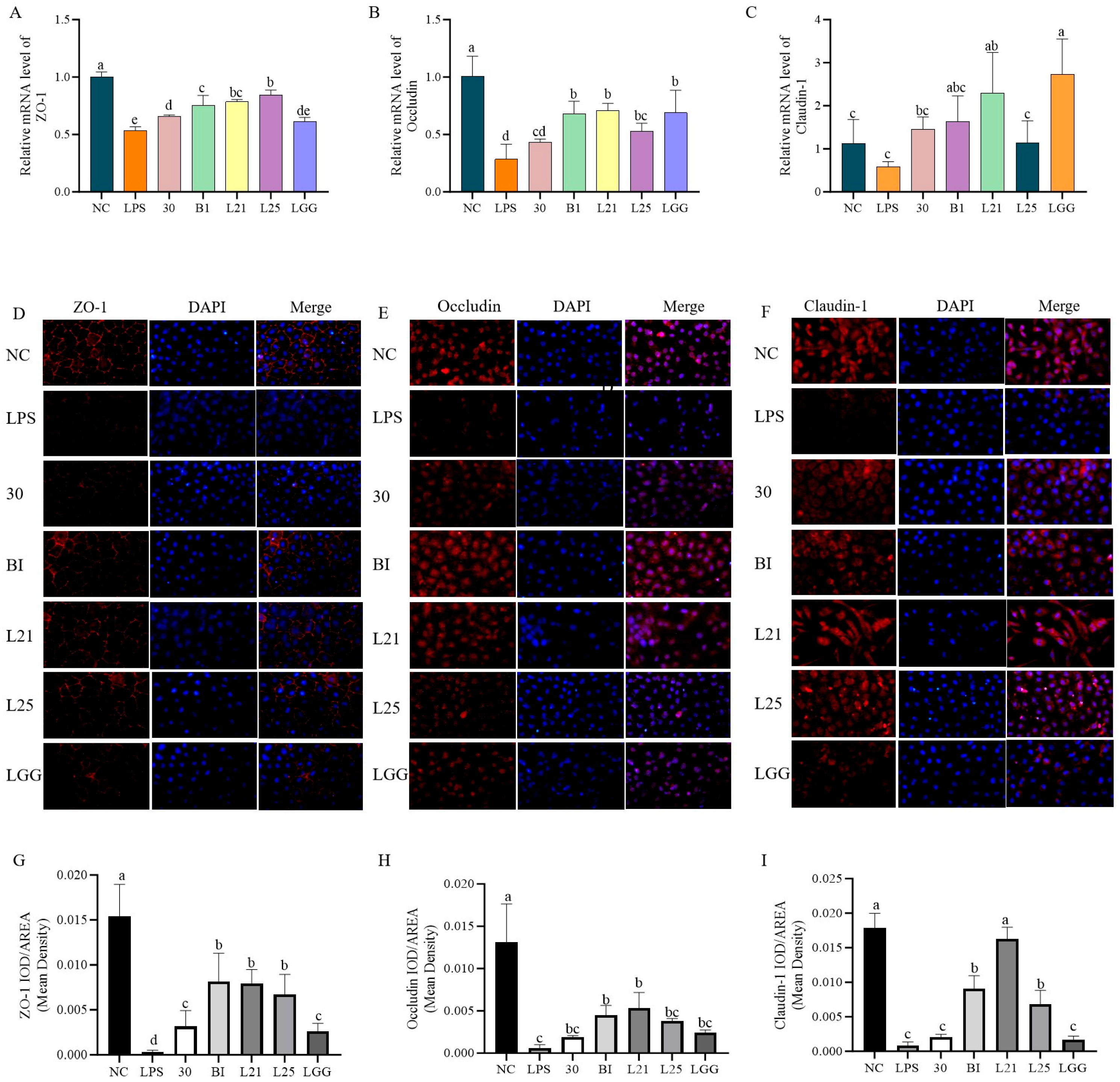 Nutrients 17 02537 g004