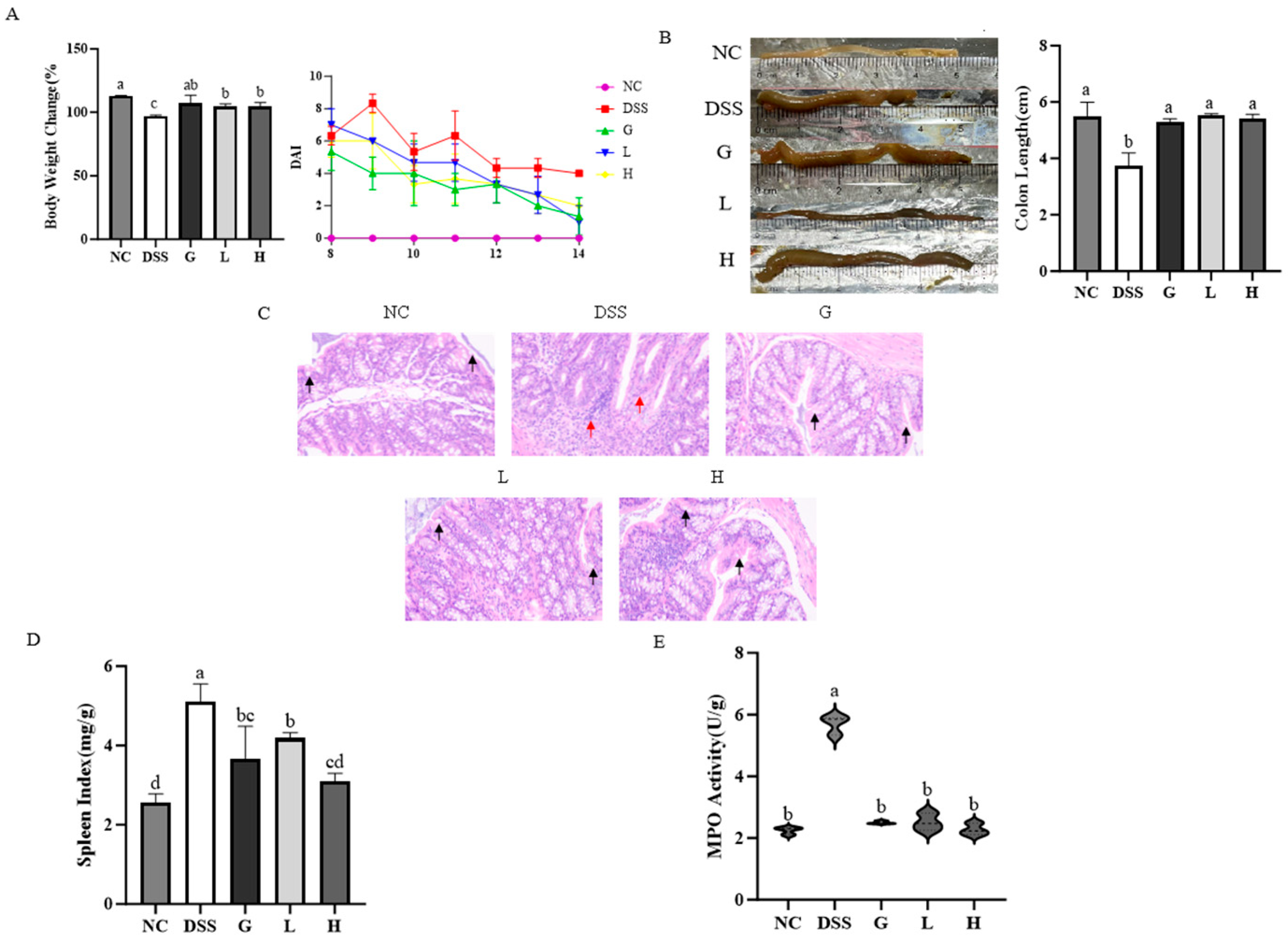 Nutrients 17 02537 g005