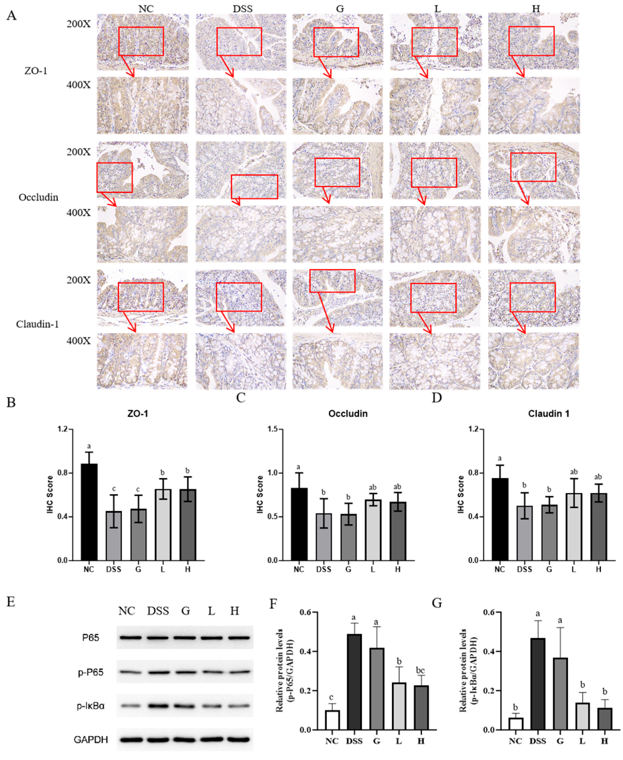 Nutrients 17 02537 g007
