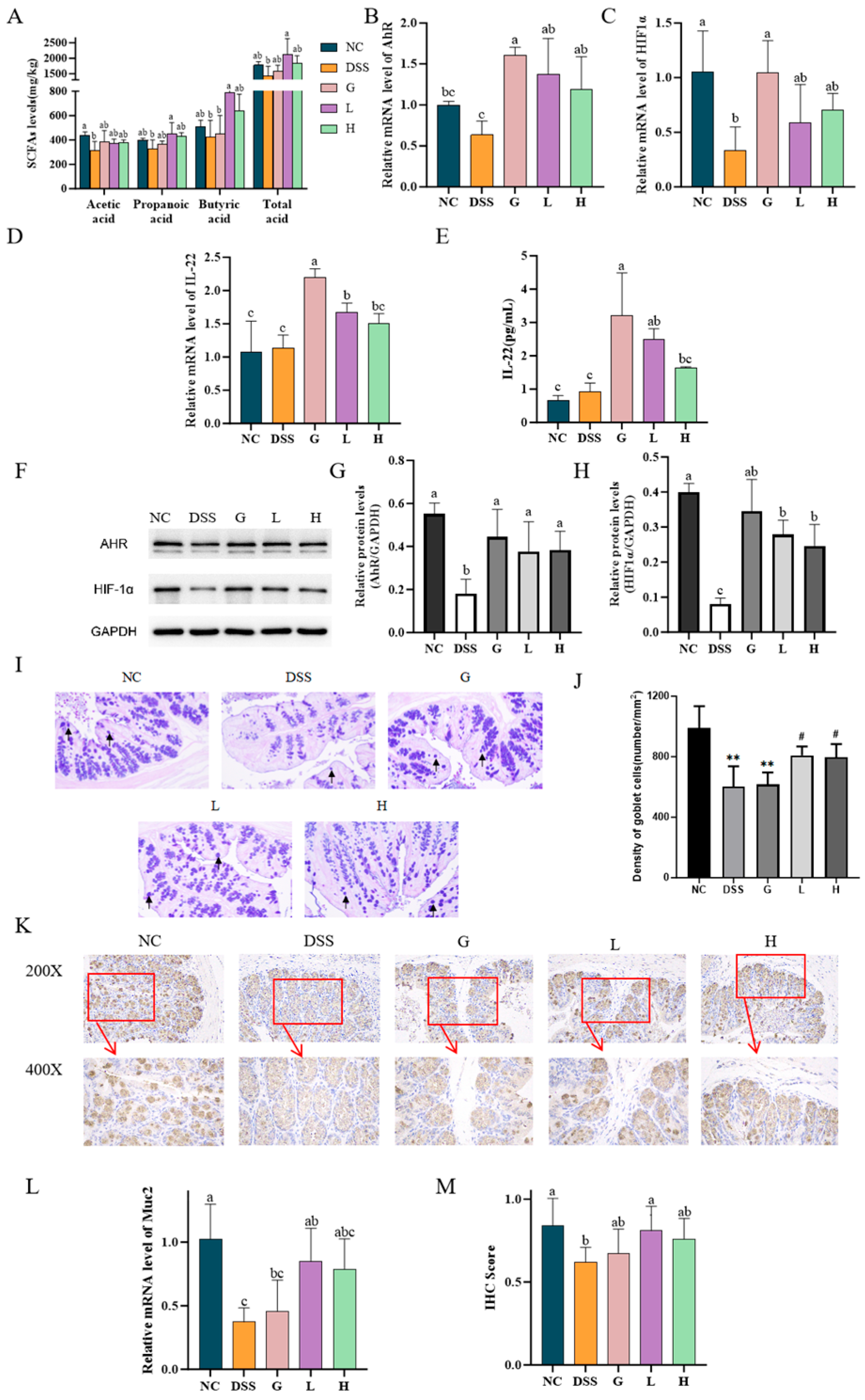 Nutrients 17 02537 g008