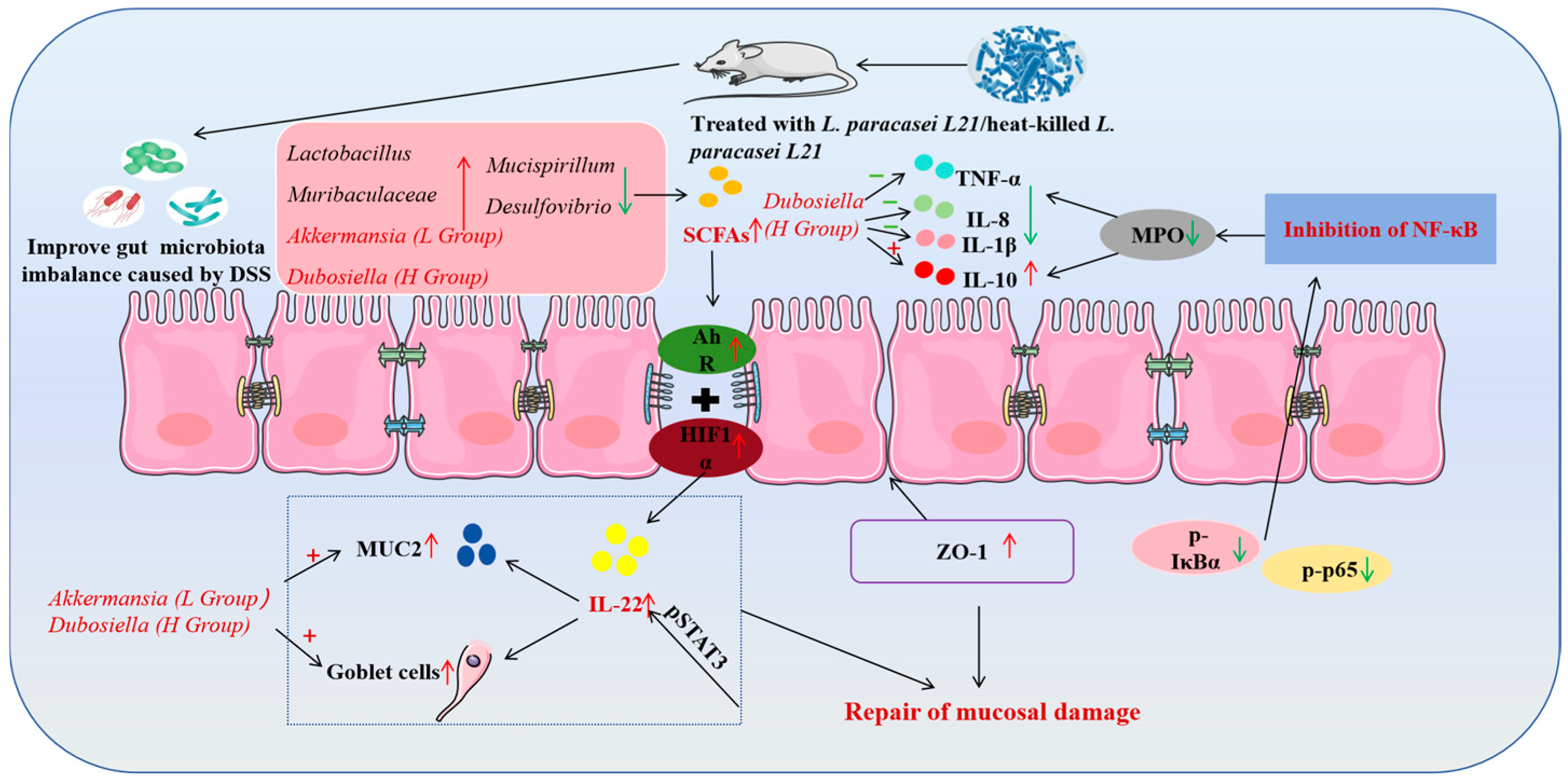 Nutrients 17 02537 g010