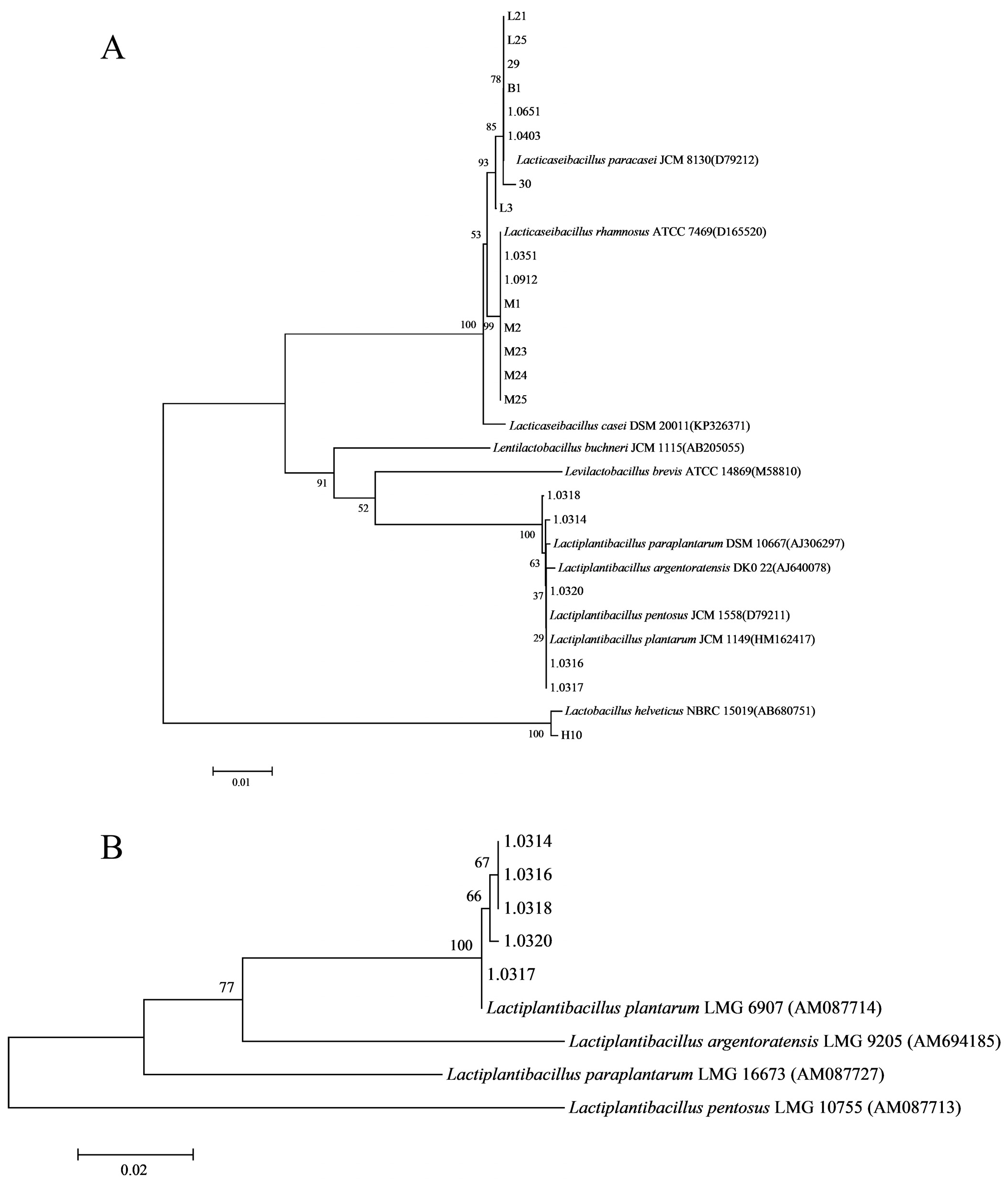 Nutrients 17 02537 g0a2