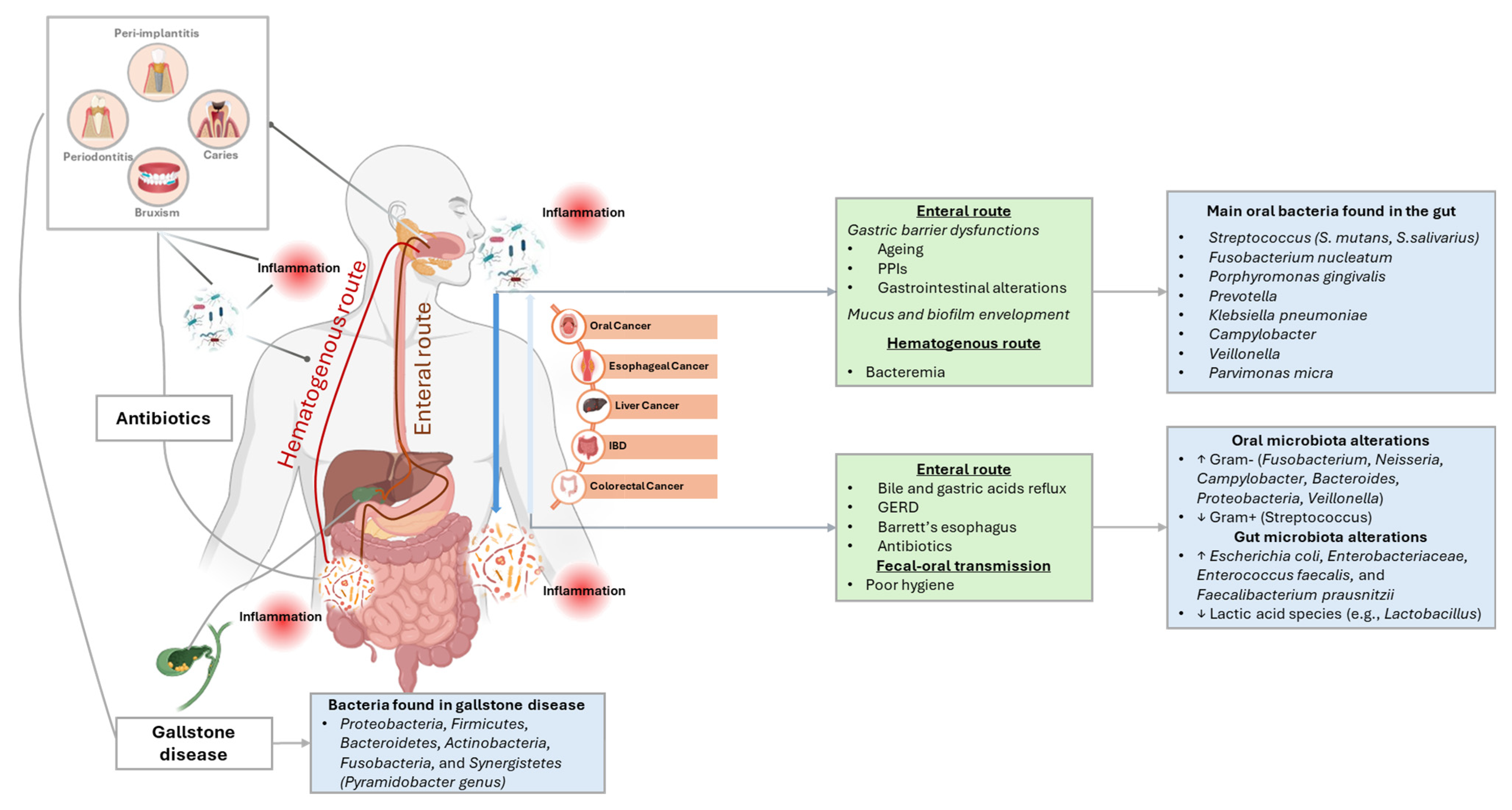Nutrients 17 02538 g003