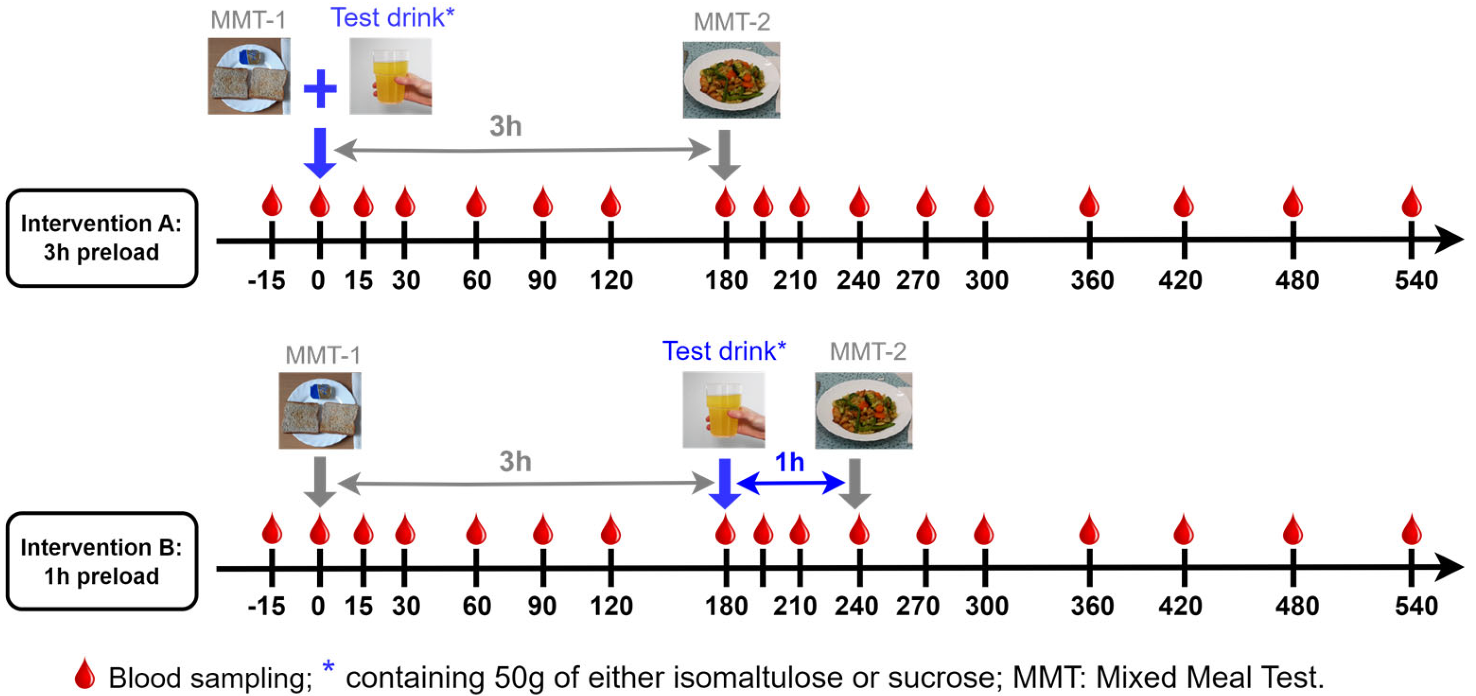 Nutrients 17 02539 g001