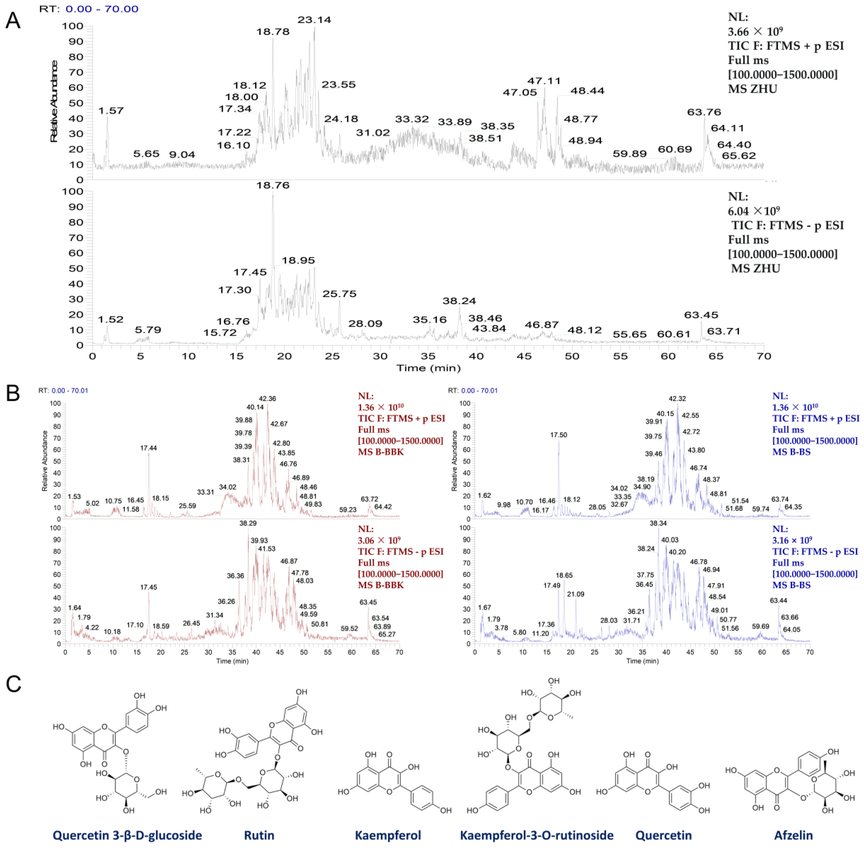その他 2 Brocks Performance 14