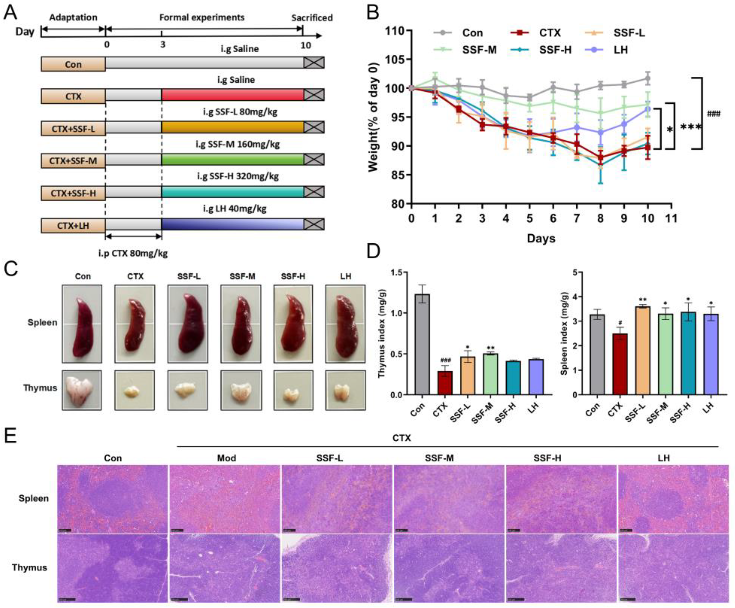 Nutrients 17 02540 g002