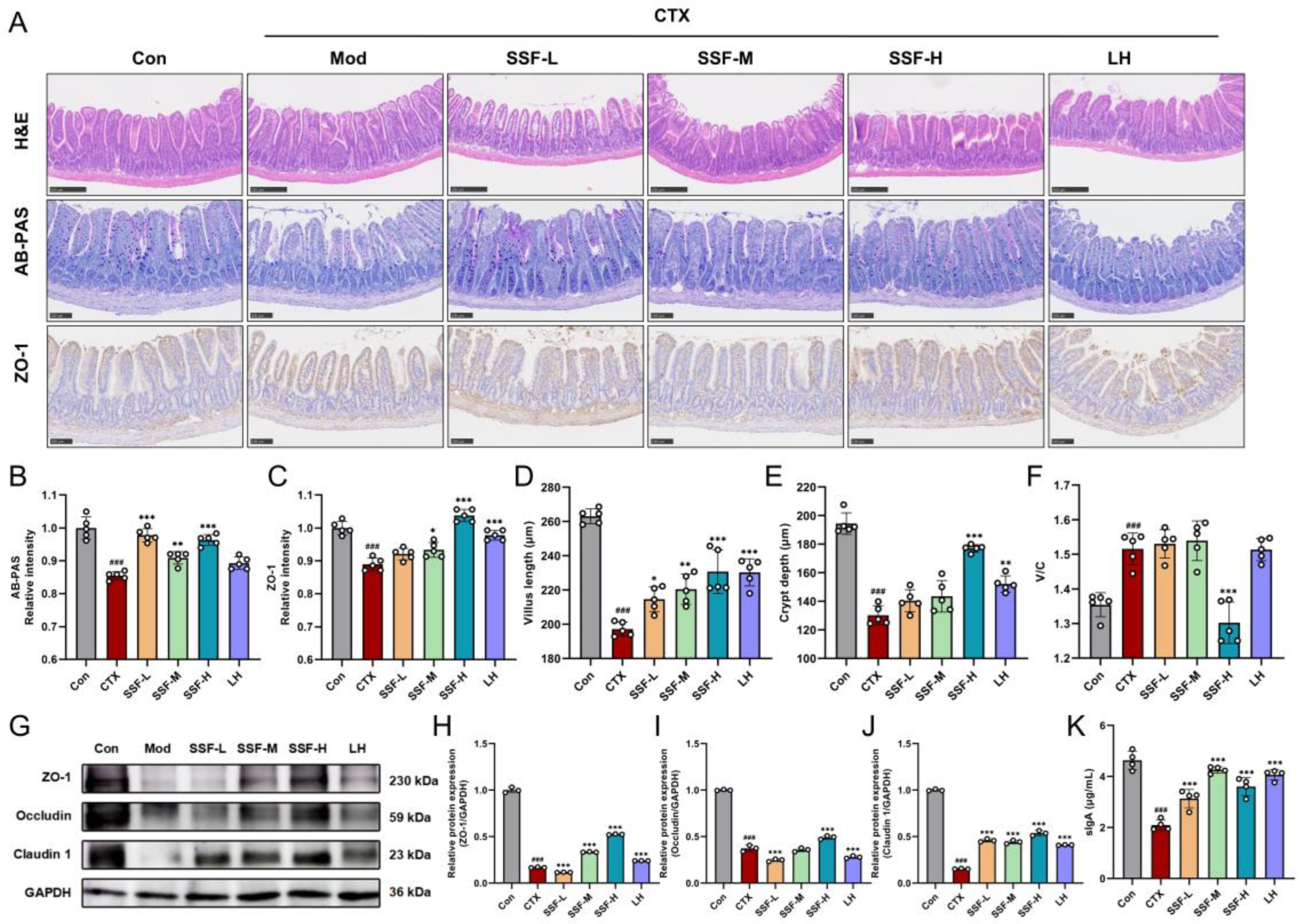 Nutrients 17 02540 g004