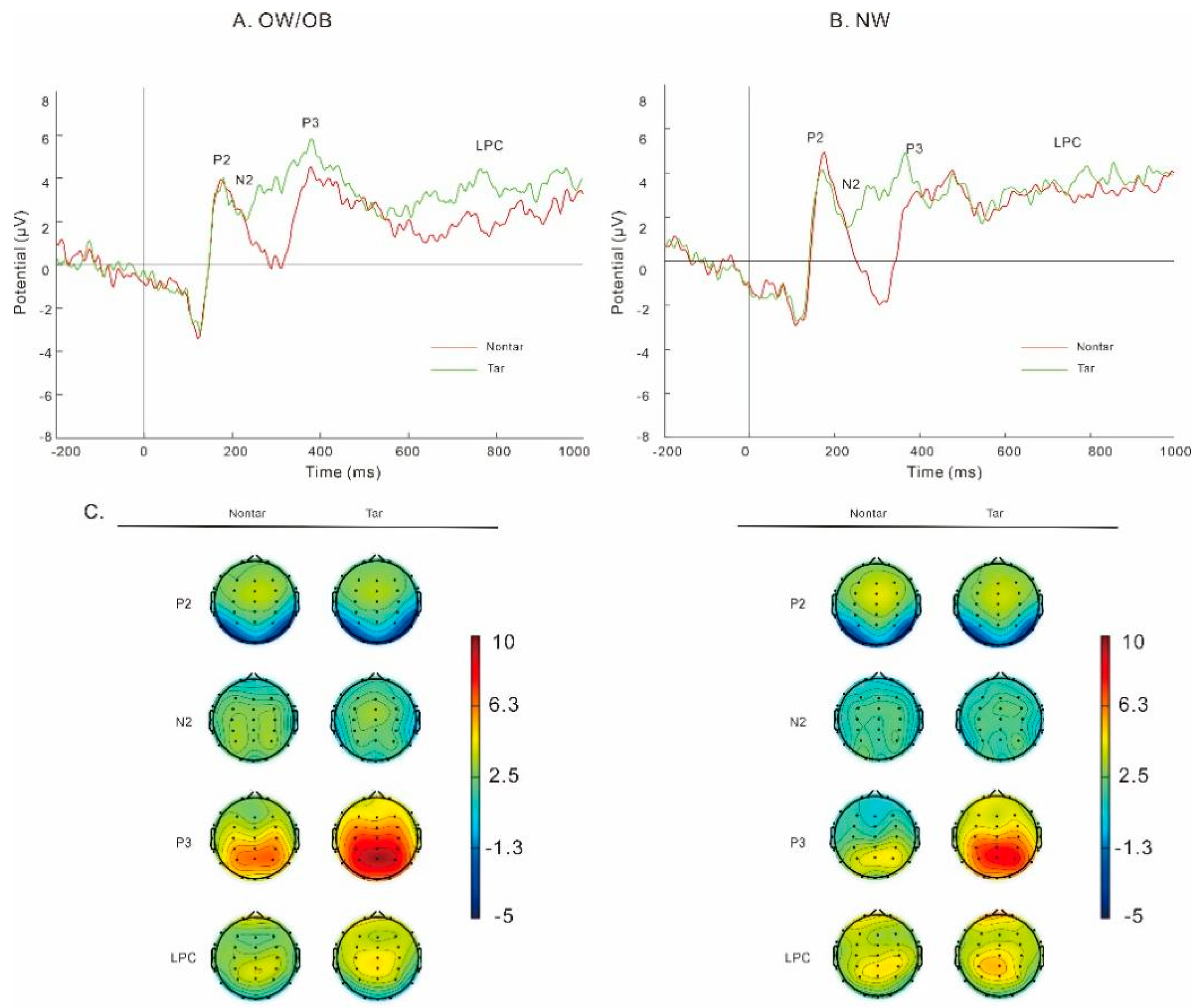 Nutrients 17 02552 g003 Nutrients 17 02552 g003