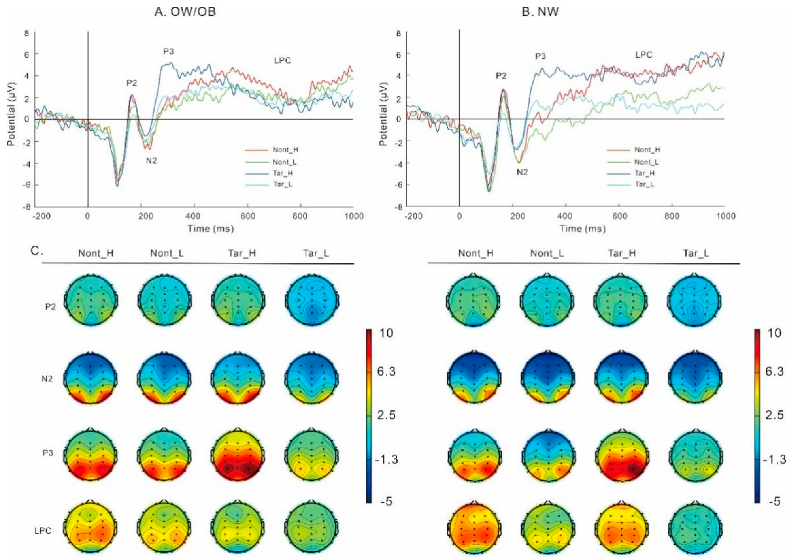 Nutrients 17 02552 g005 Nutrients 17 02552 g005