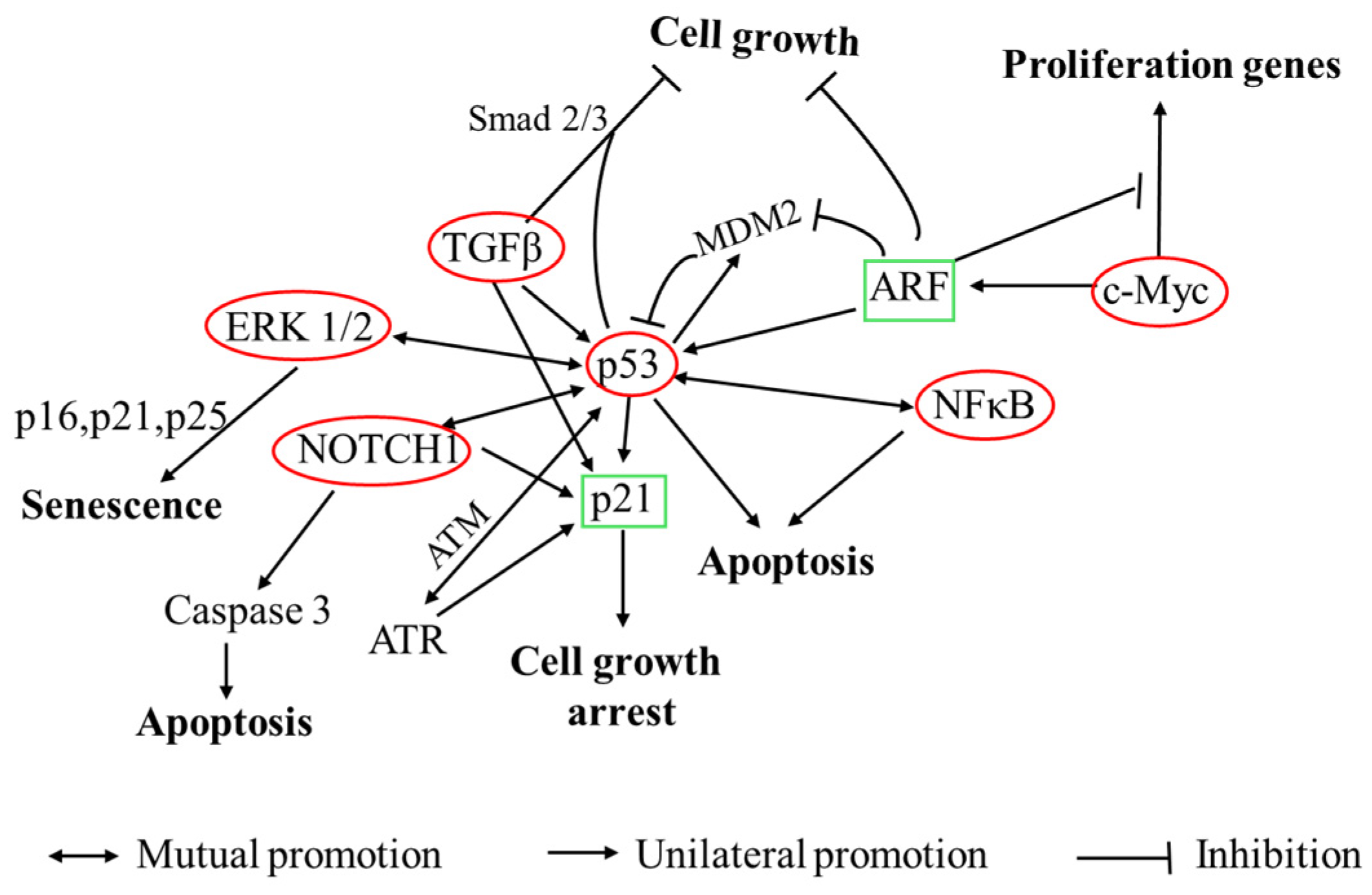 Nutrients 17 02554 g012