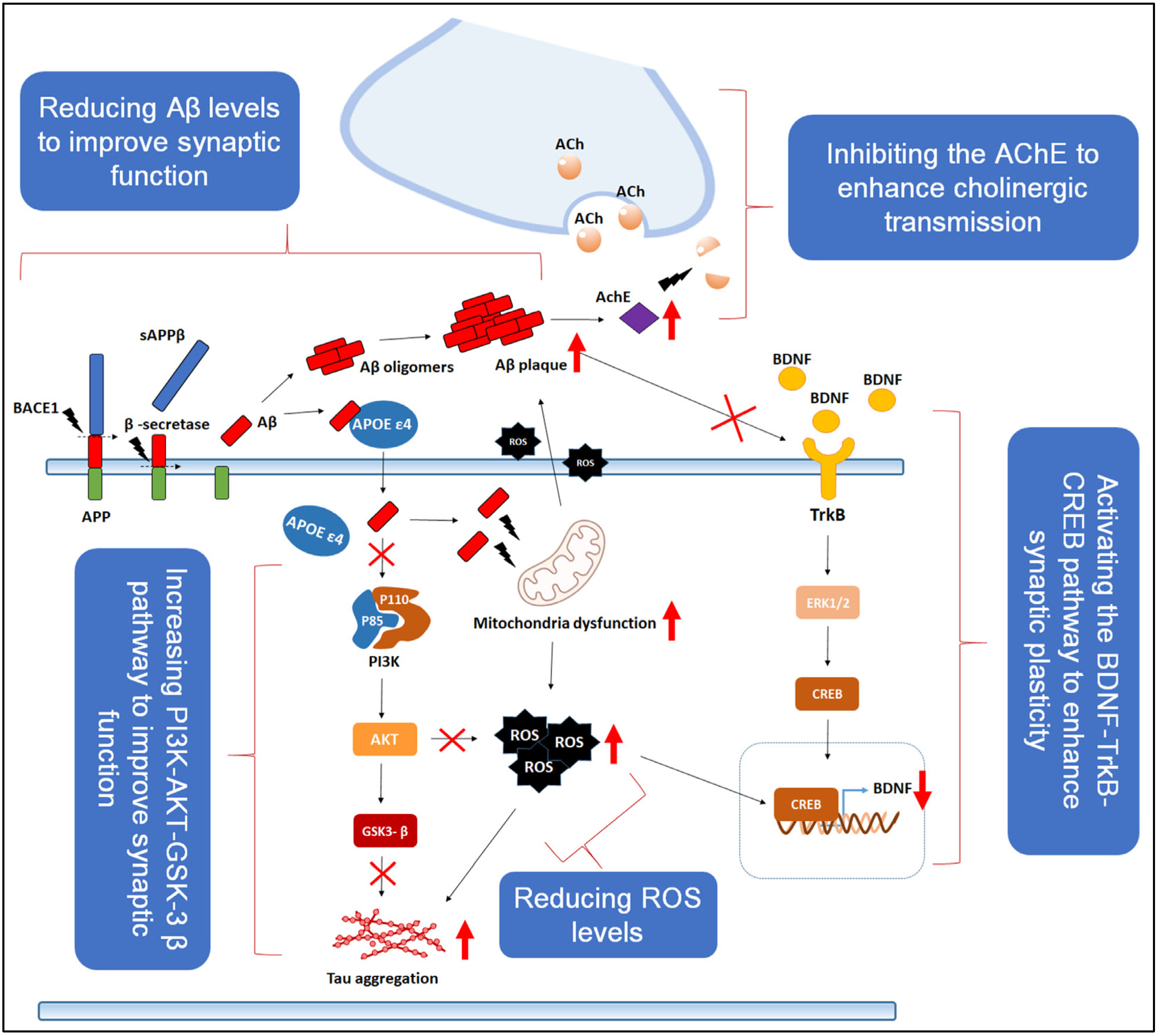 Nutrients 17 02557 g002 Nutrients 17 02557 g002