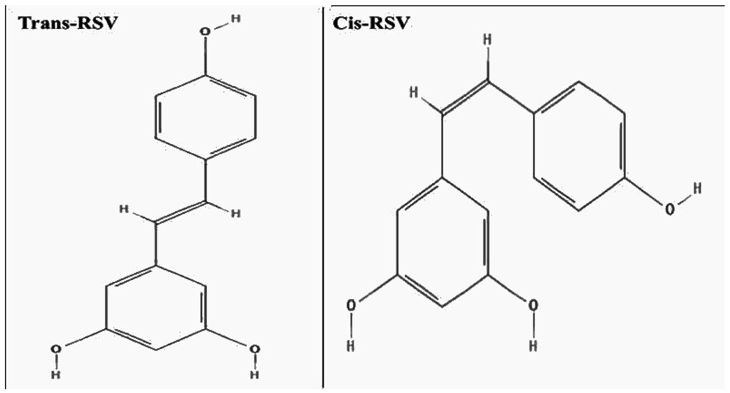 Nutrients 17 02557 g003 Nutrients 17 02557 g003