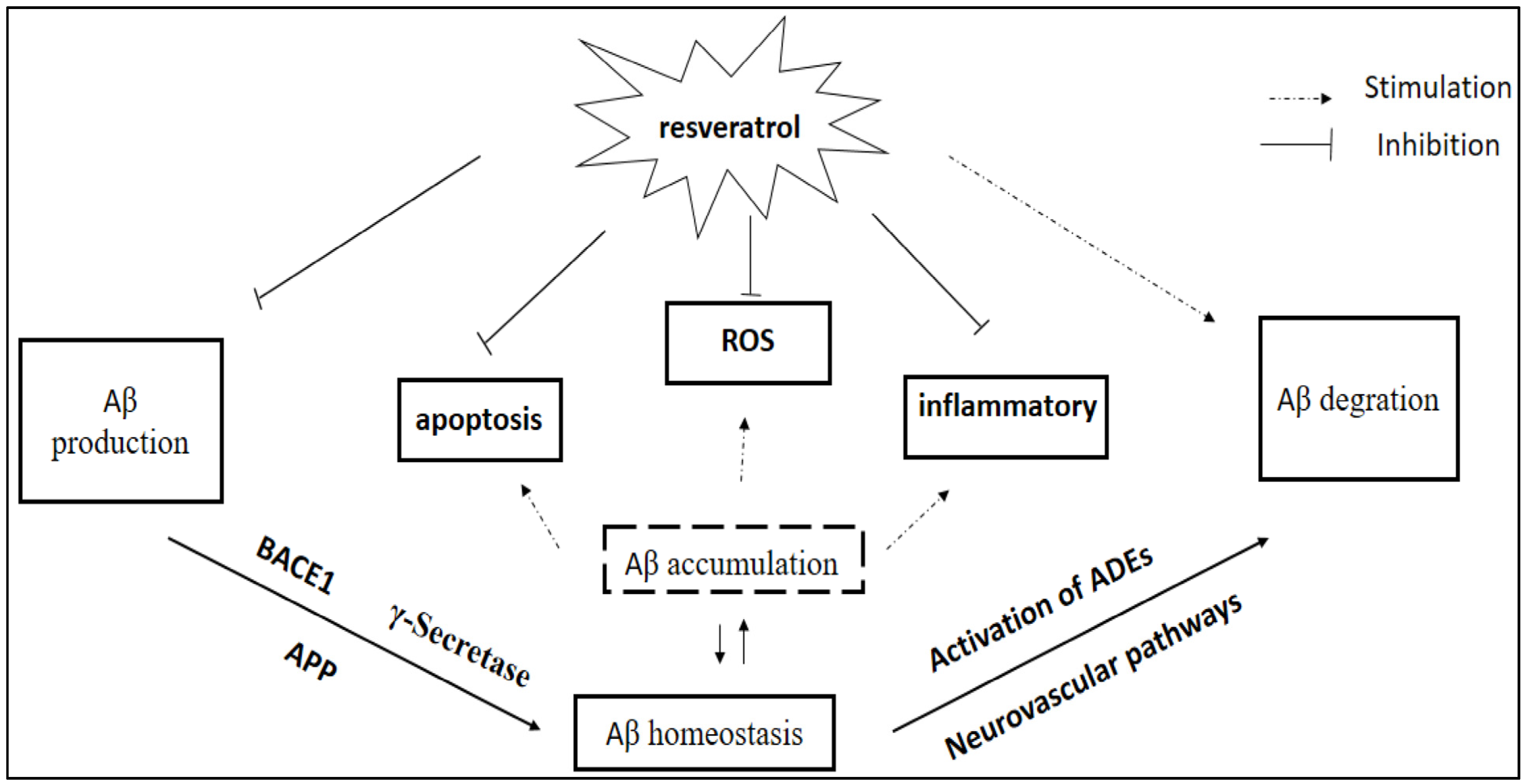 Nutrients 17 02557 g005 Nutrients 17 02557 g005