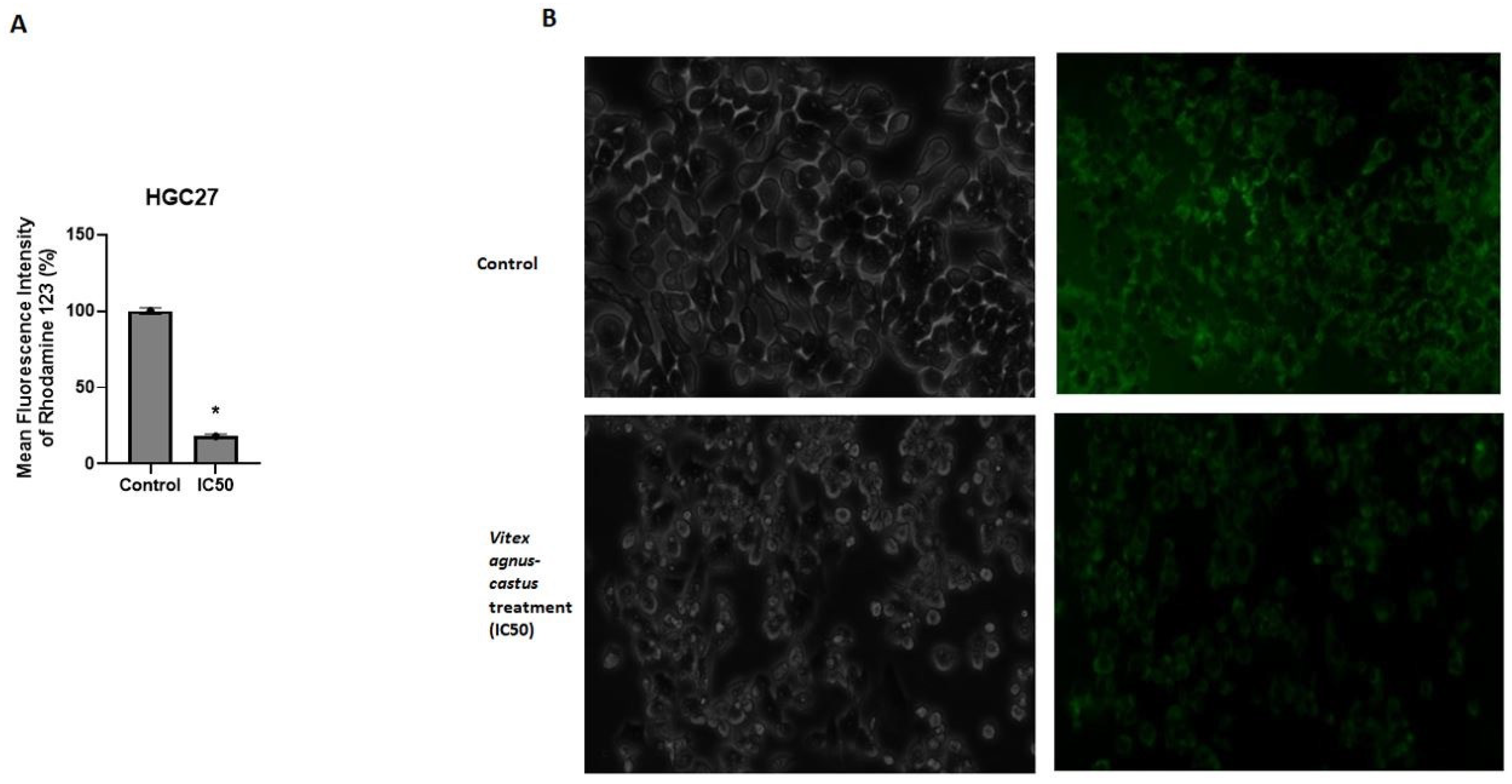 Nutrients 17 02564 g003 Nutrients 17 02564 g003