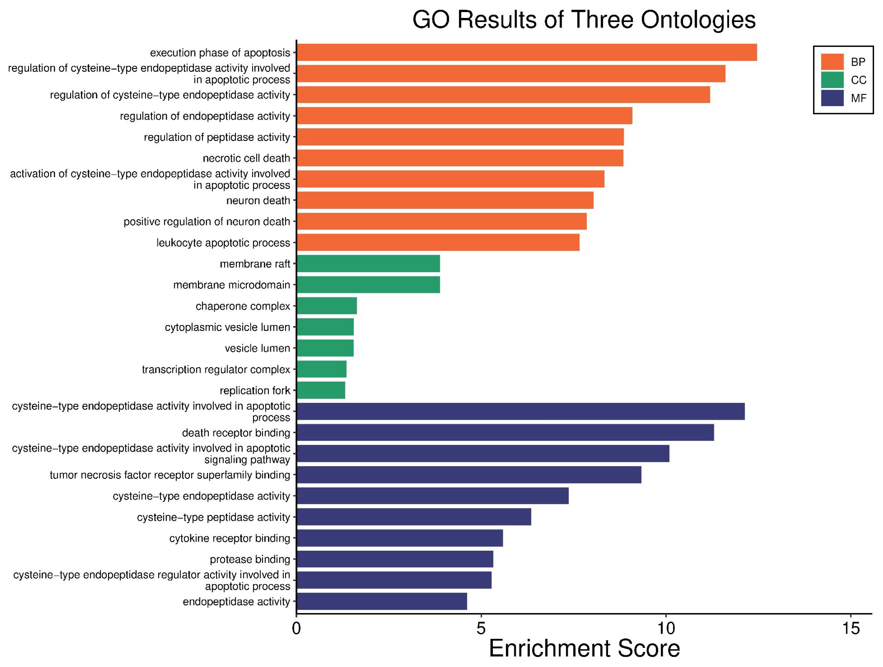 Nutrients 17 02564 g008 Nutrients 17 02564 g008