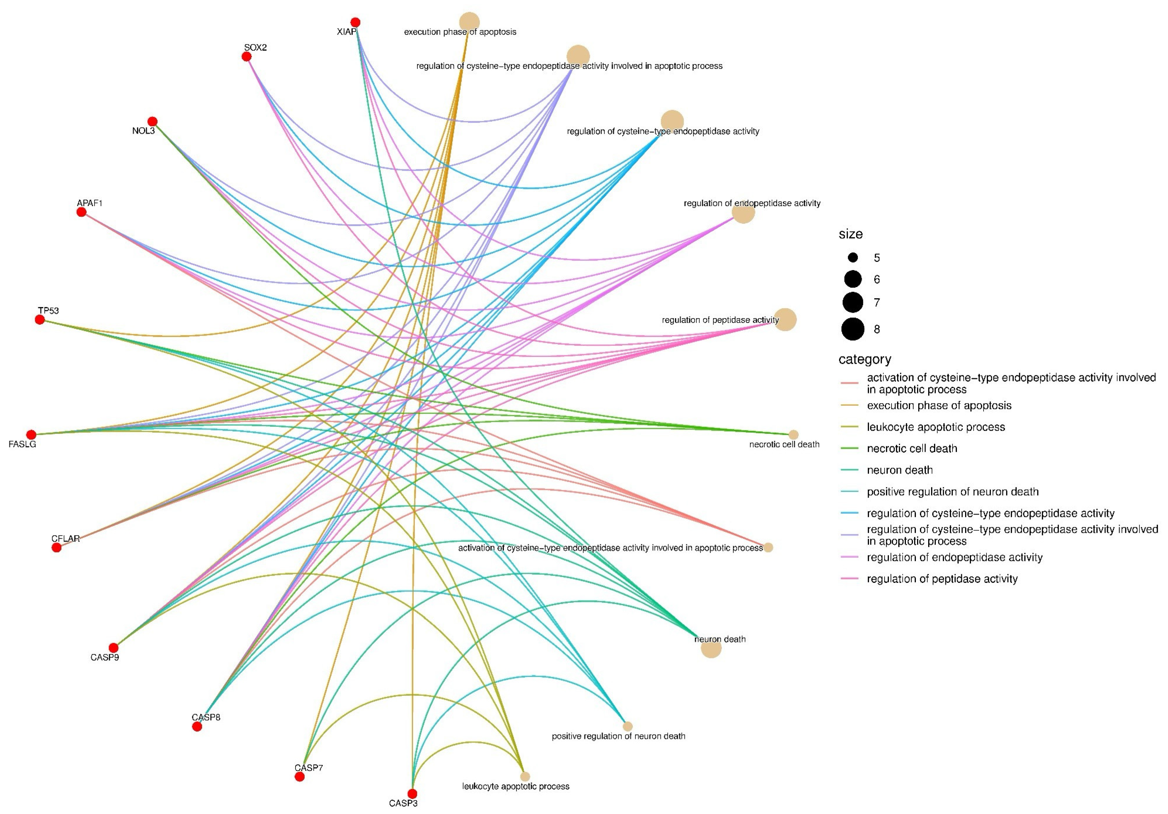 Nutrients 17 02564 g009 Nutrients 17 02564 g009