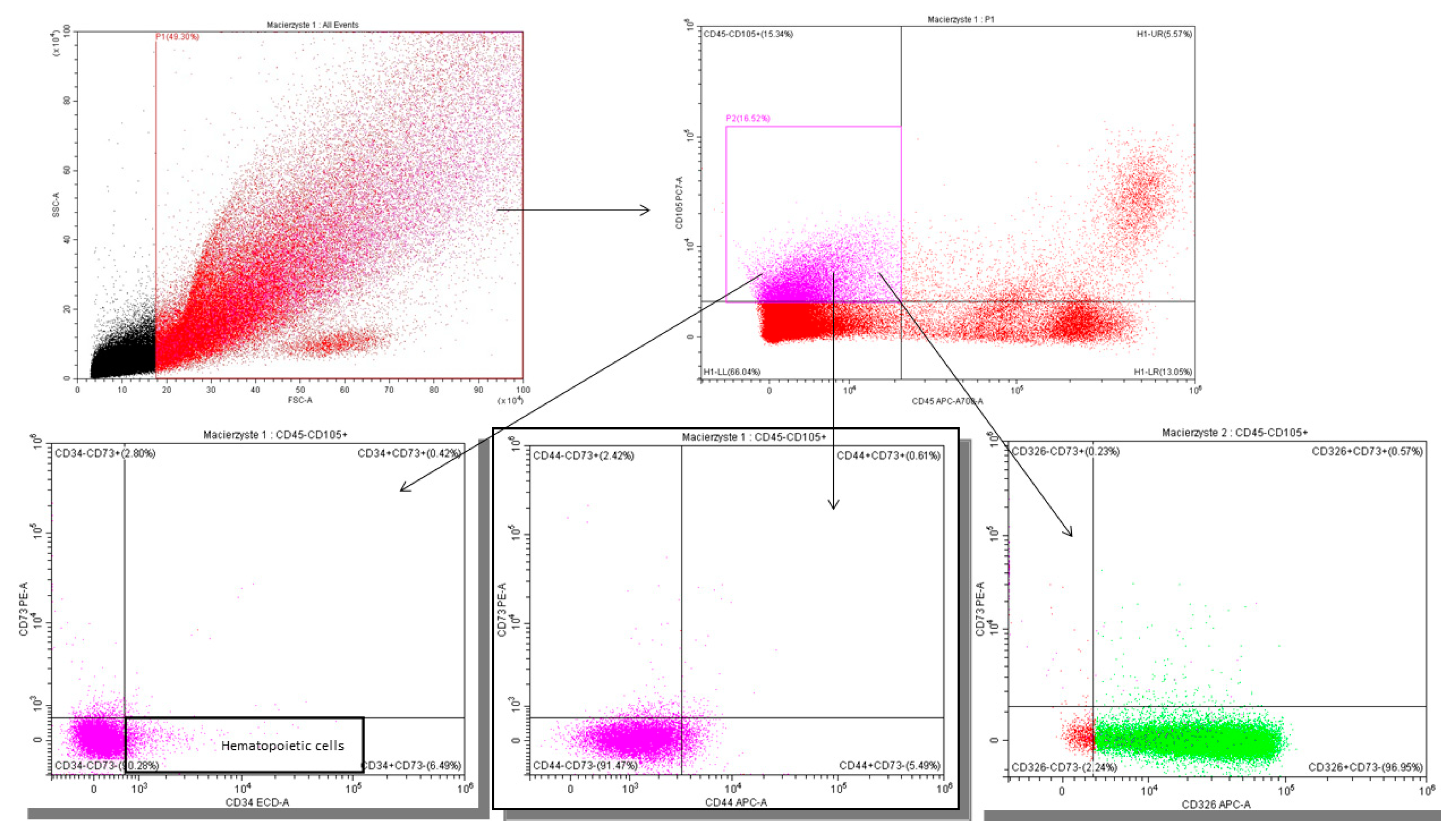 Nutrients 17 02574 g0a2
