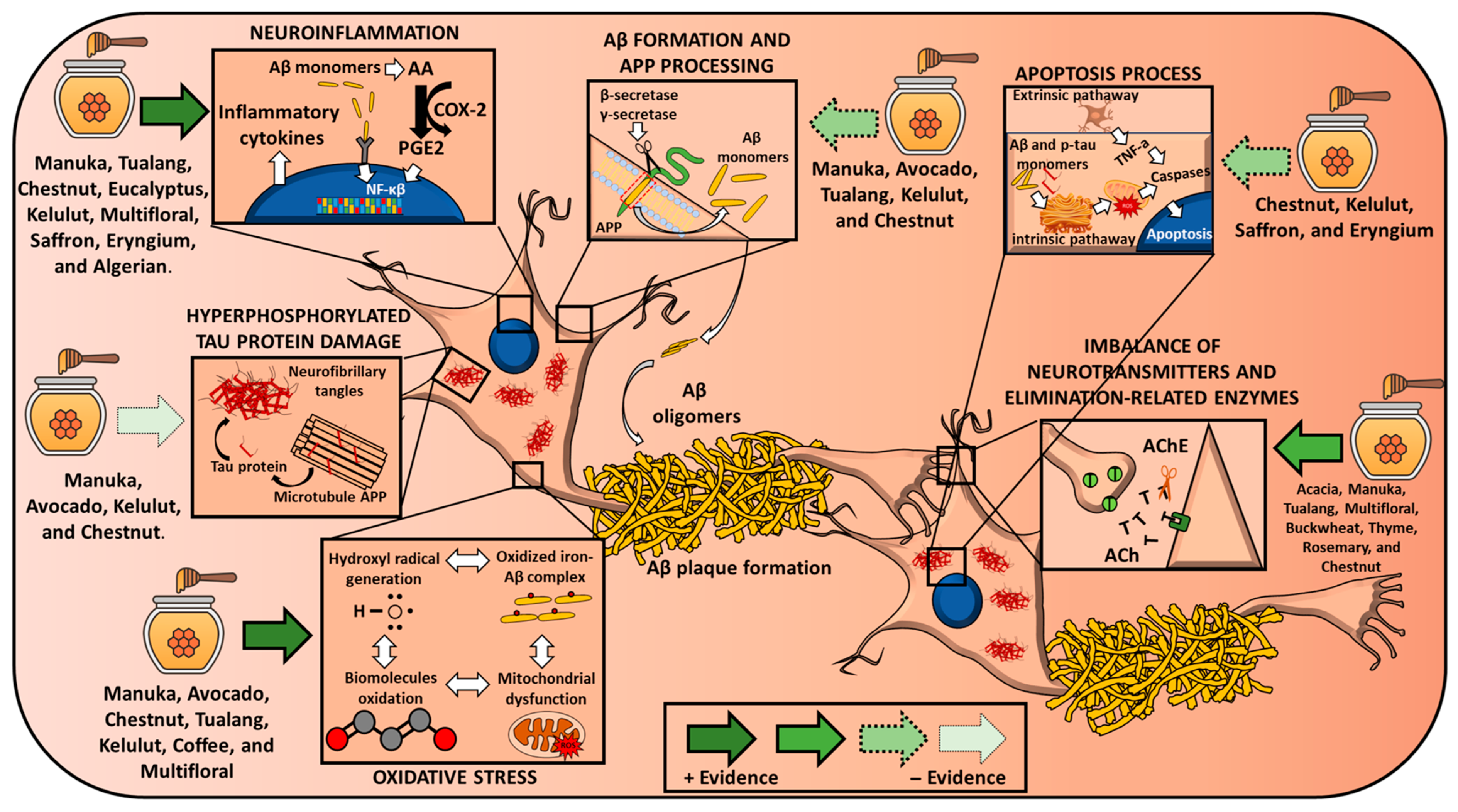 Nutrients 17 02577 g001 Nutrients 17 02577 g001