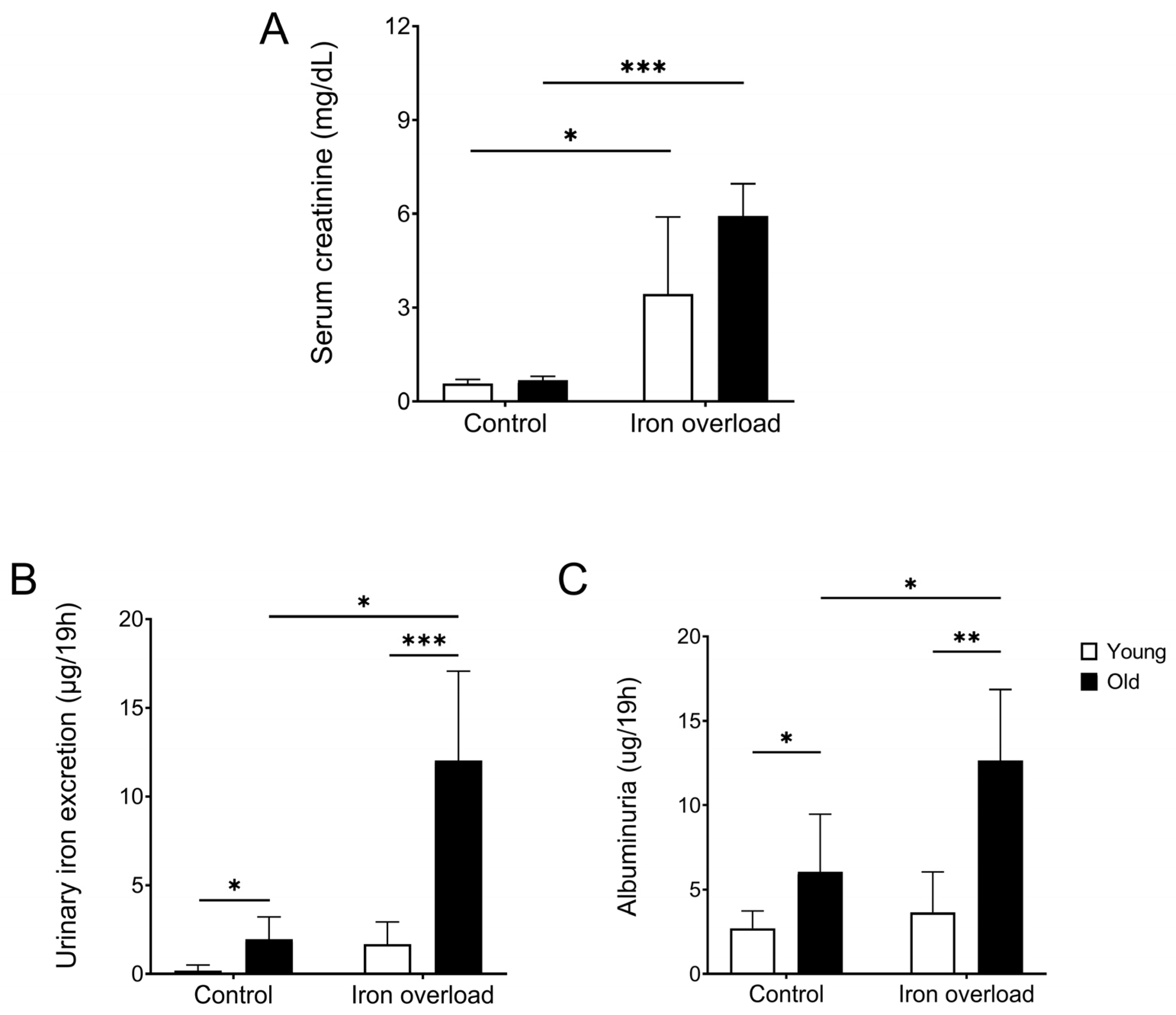 Nutrients 17 02580 g002