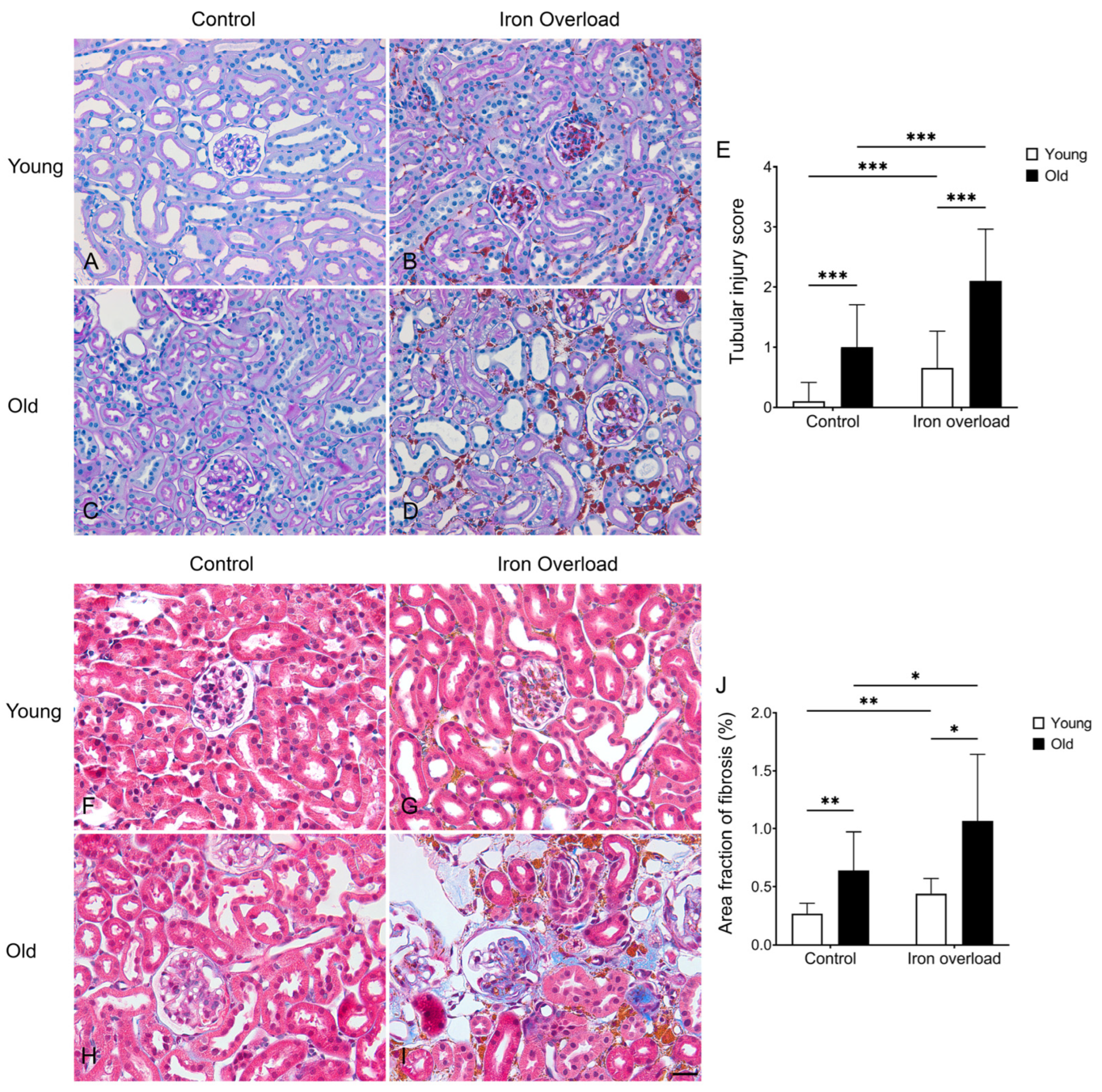 Nutrients 17 02580 g004