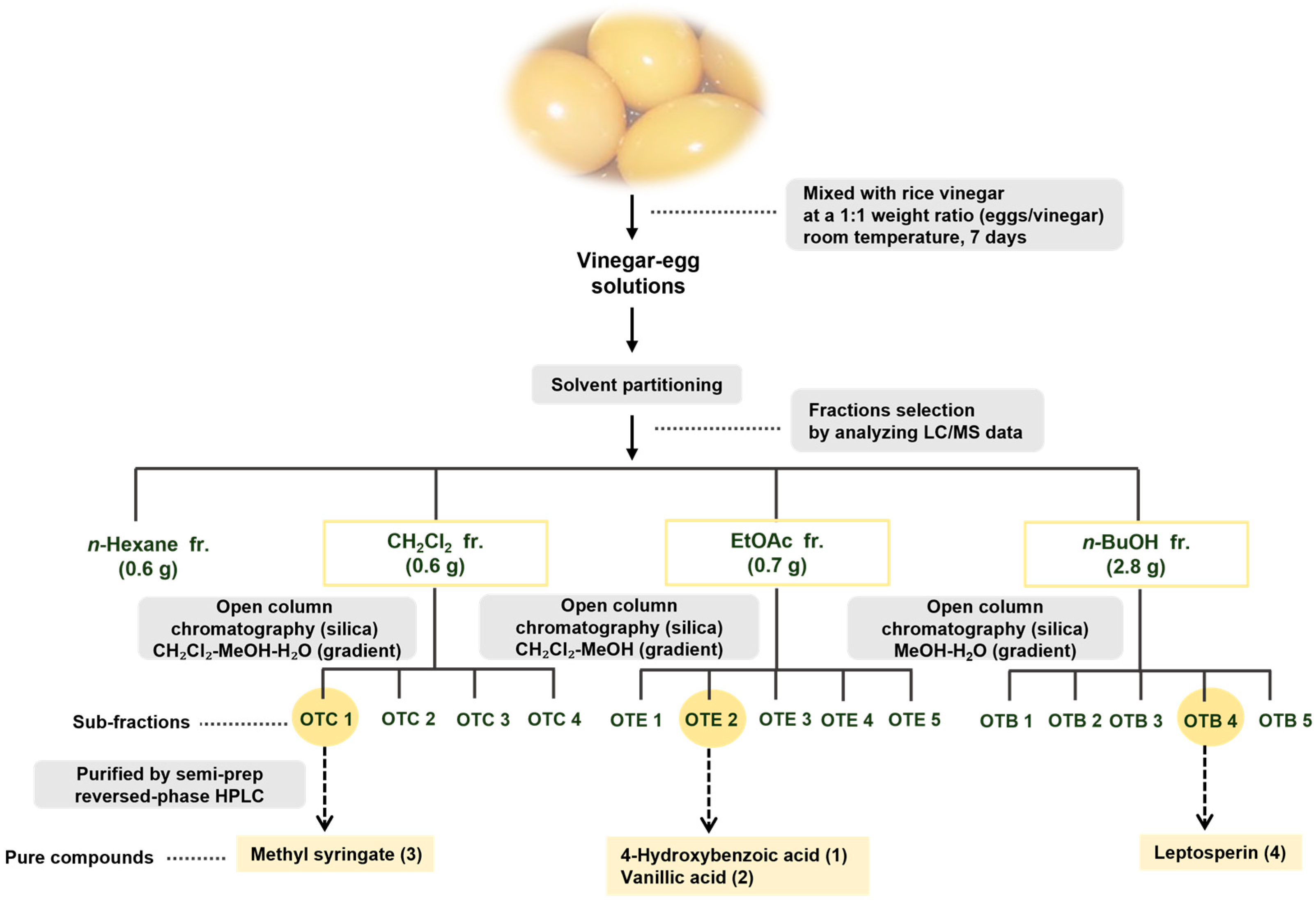 Nutrients 17 02584 g001 Nutrients 17 02584 g001