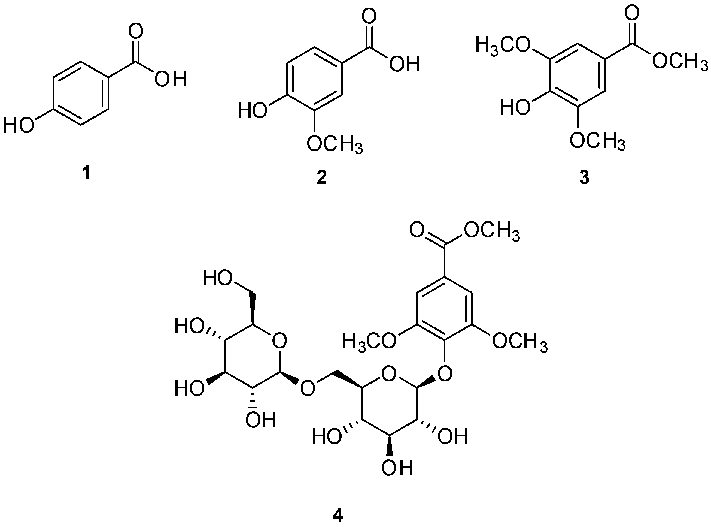 Nutrients 17 02584 g002 Nutrients 17 02584 g002